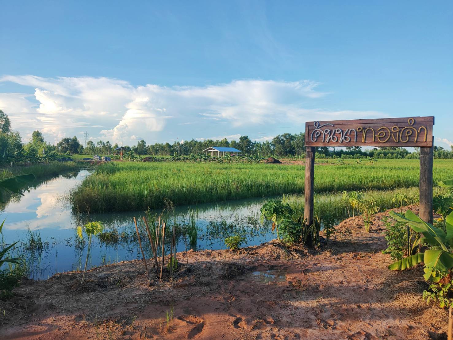 พช. ยโสธร พัฒนาการจังหวัดยโสธร ตรวจเยี่ยม ให้กำลังใจ เจ้าหน้าที่พัฒนาชุมชน ในการปฏิบัติงานโครงการพัฒนาพื้นที่ต้นแบบ ประยุกต์สู่ โคก หนอง นา โมเดล ในแปลง (Community Lab Model for quality of Life : CLM) พื้นที่อำเภอ มหาชนะชัย