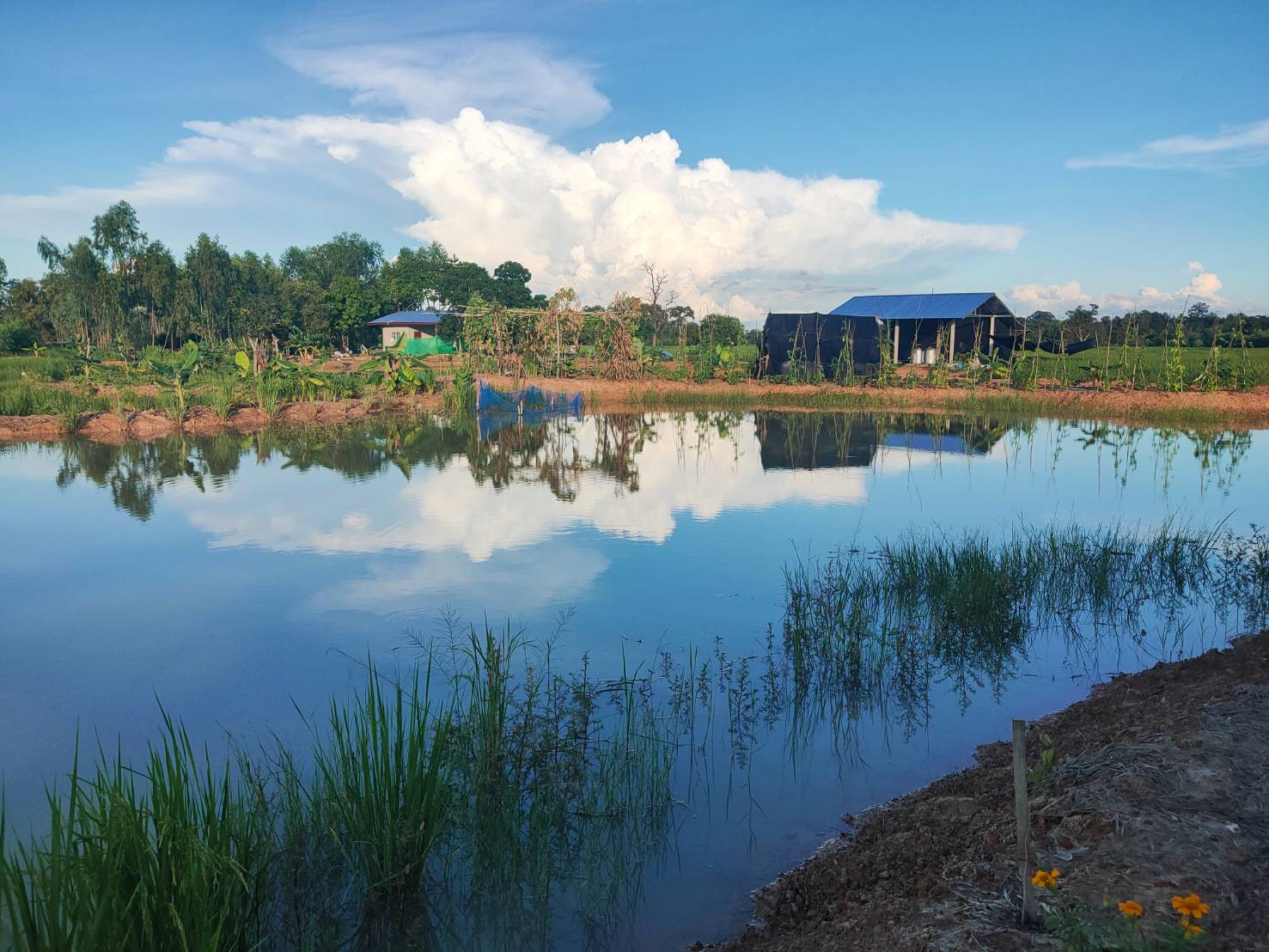 พช. ยโสธร พัฒนาการจังหวัดยโสธร ตรวจเยี่ยม ให้กำลังใจ เจ้าหน้าที่พัฒนาชุมชน ในการปฏิบัติงานโครงการพัฒนาพื้นที่ต้นแบบ ประยุกต์สู่ โคก หนอง นา โมเดล ในแปลง (Community Lab Model for quality of Life : CLM) พื้นที่อำเภอ มหาชนะชัย
