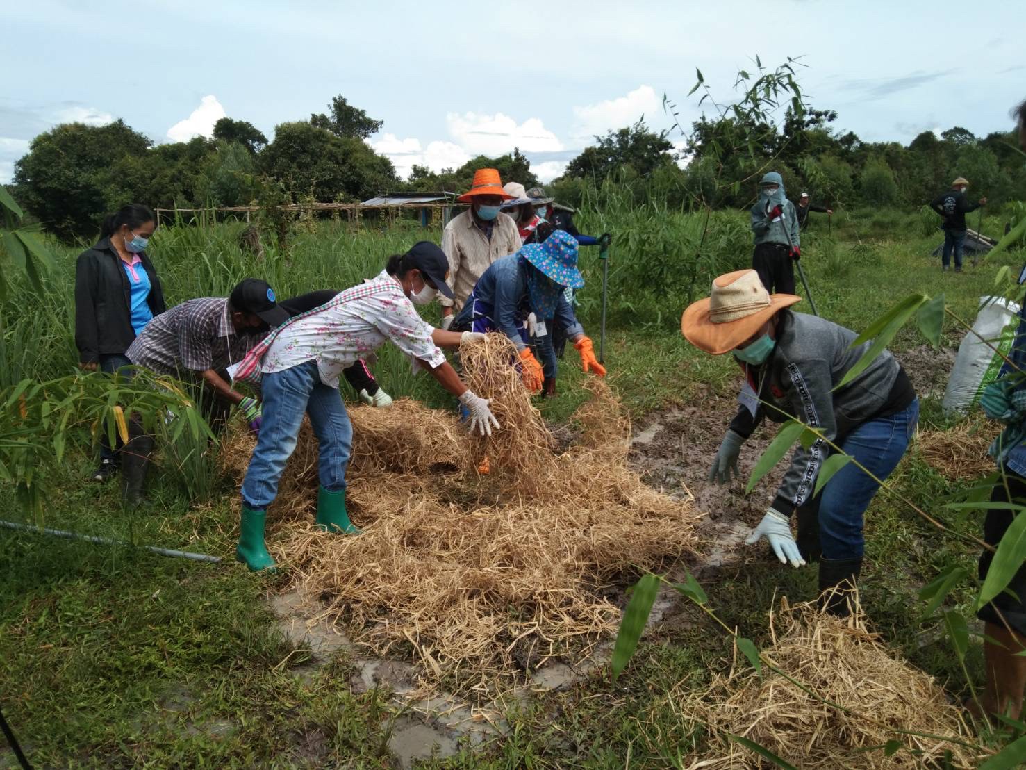 พช.ยโสธร ร่วมโครงการพัฒนาพื้นที่ต้นแบบการพัฒนาคุณภาพชีวิตตามหลักทฤษฎีใหม่ ประยุกต์สู่ โคก หนอง นา โมเดล กิจกรรมที่ 1 ฝึกอบรมระยะสั้นการพัฒนากสิกรรมสู่ระบบเศรษฐกิจพอเพียง รูปแบบ โคก หนอง นา โมเดล  แก่เจ้าของแปลงฯ และนักพัฒนาพื้นที่ต้นแบบ (นพต.) ของจังหวัดยโสธร ผ่านระบบ Zoom Cloud Meeting