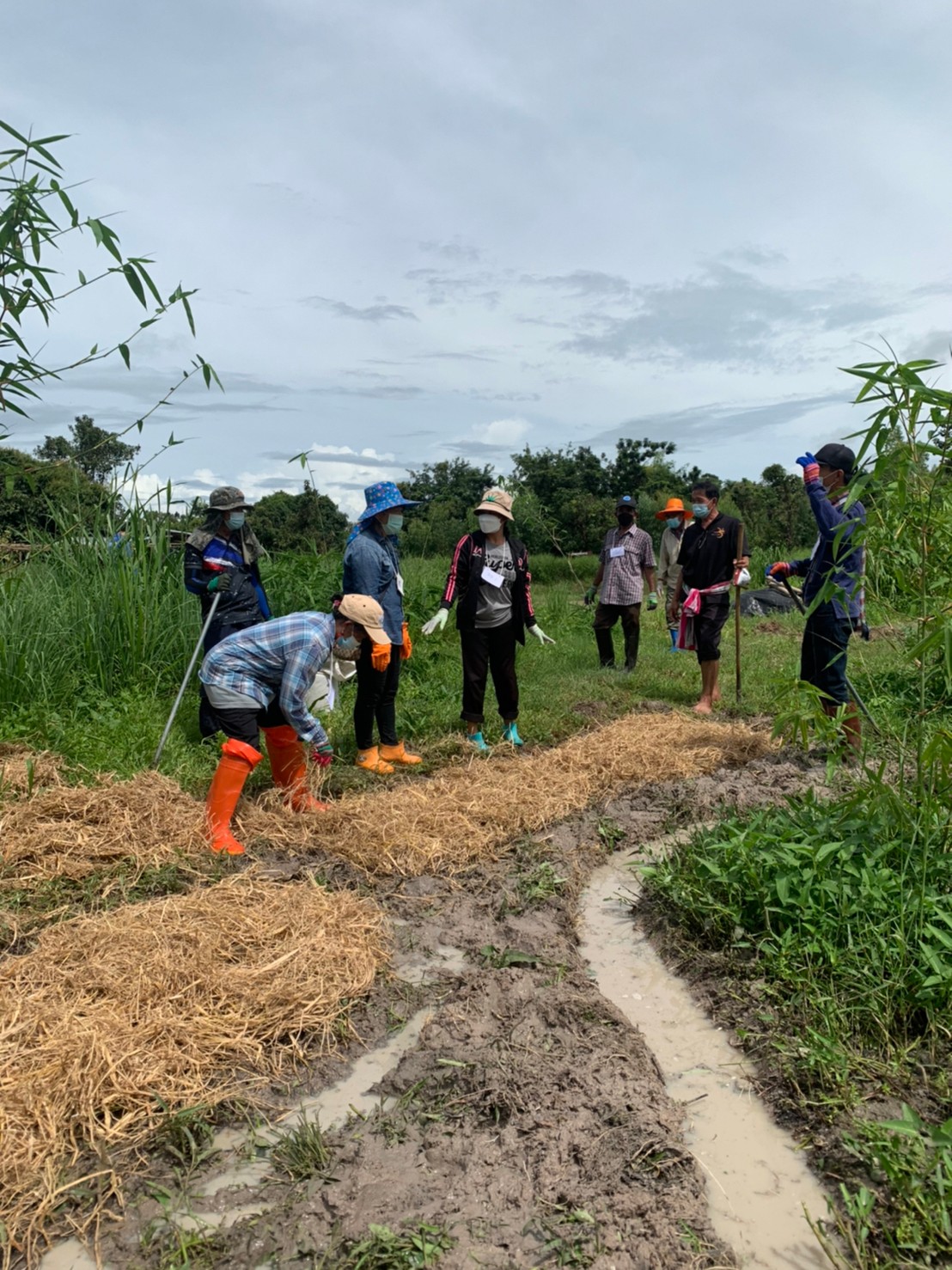 พช.ยโสธร ร่วมโครงการพัฒนาพื้นที่ต้นแบบการพัฒนาคุณภาพชีวิตตามหลักทฤษฎีใหม่ ประยุกต์สู่ โคก หนอง นา โมเดล กิจกรรมที่ 1 ฝึกอบรมระยะสั้นการพัฒนากสิกรรมสู่ระบบเศรษฐกิจพอเพียง รูปแบบ โคก หนอง นา โมเดล  แก่เจ้าของแปลงฯ และนักพัฒนาพื้นที่ต้นแบบ (นพต.) ของจังหวัดยโสธร ผ่านระบบ Zoom Cloud Meeting
