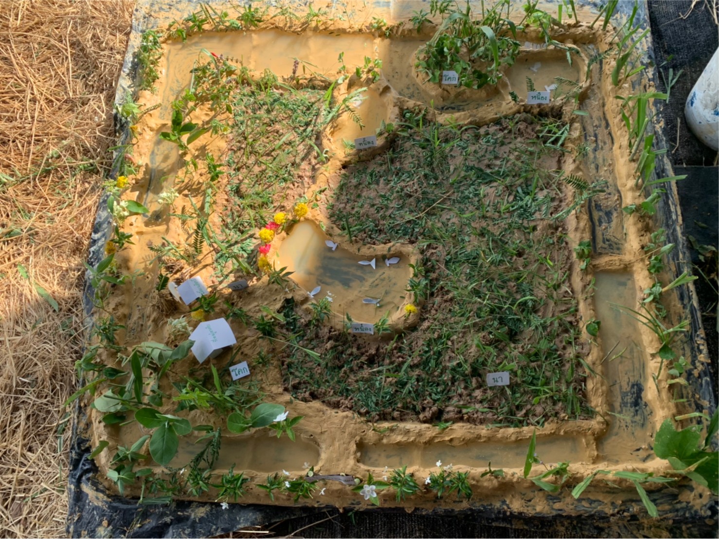 พช.ยโสธร ร่วมโครงการพัฒนาพื้นที่ต้นแบบการพัฒนาคุณภาพชีวิตตามหลักทฤษฎีใหม่ ประยุกต์สู่ โคก หนอง นา โมเดล กิจกรรมที่ 1 ฝึกอบรมระยะสั้นการพัฒนากสิกรรมสู่ระบบเศรษฐกิจพอเพียง รูปแบบ โคก หนอง นา โมเดล  แก่เจ้าของแปลงฯ และนักพัฒนาพื้นที่ต้นแบบ (นพต.) ของจังหวัดยโสธร ผ่านระบบ Zoom Cloud Meeting