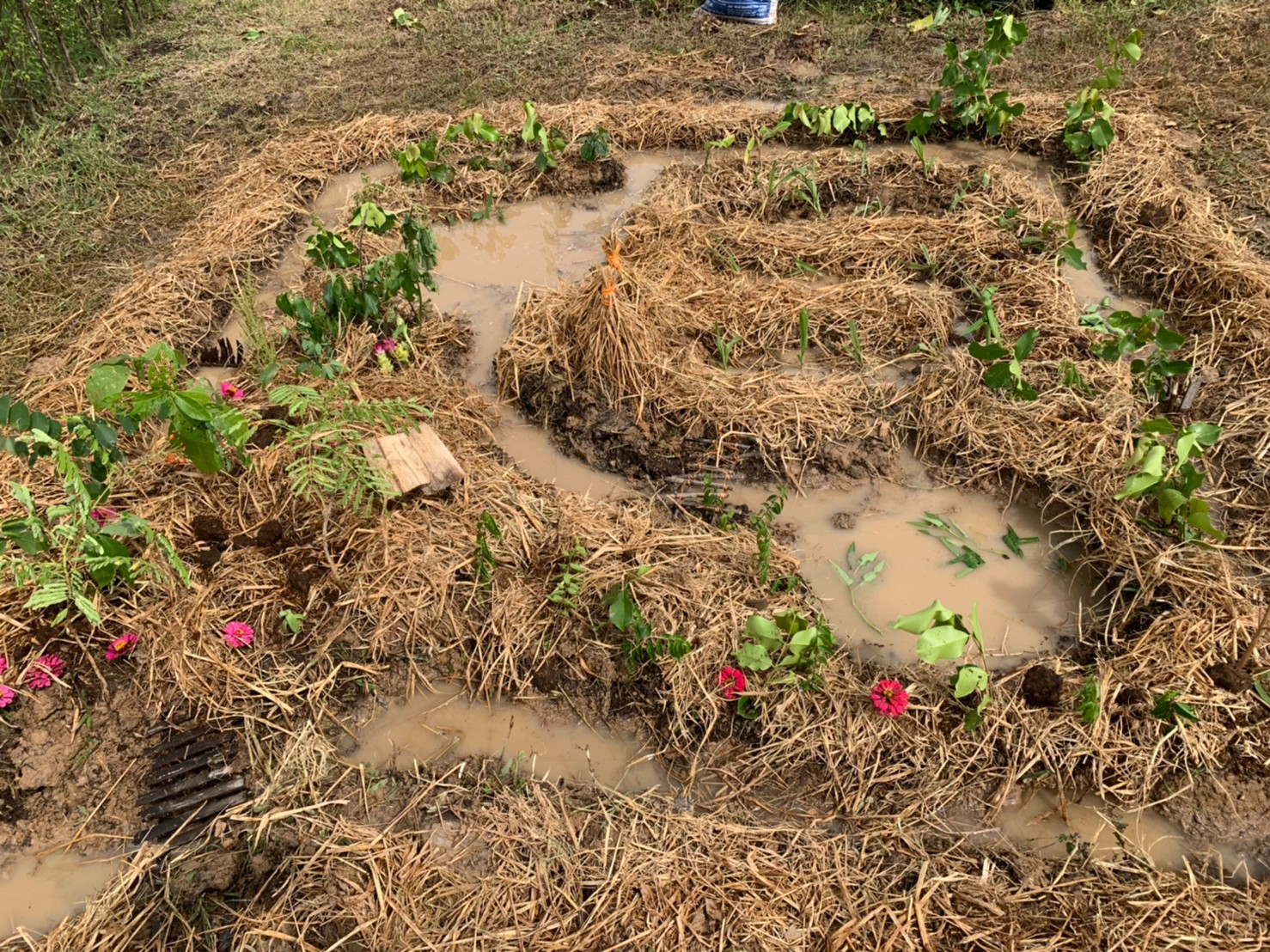 พช.ยโสธร ร่วมโครงการพัฒนาพื้นที่ต้นแบบการพัฒนาคุณภาพชีวิตตามหลักทฤษฎีใหม่ ประยุกต์สู่ โคก หนอง นา โมเดล กิจกรรมที่ 1 ฝึกอบรมระยะสั้นการพัฒนากสิกรรมสู่ระบบเศรษฐกิจพอเพียง รูปแบบ โคก หนอง นา โมเดล  แก่เจ้าของแปลงฯ และนักพัฒนาพื้นที่ต้นแบบ (นพต.) ของจังหวัดยโสธร ผ่านระบบ Zoom Cloud Meeting