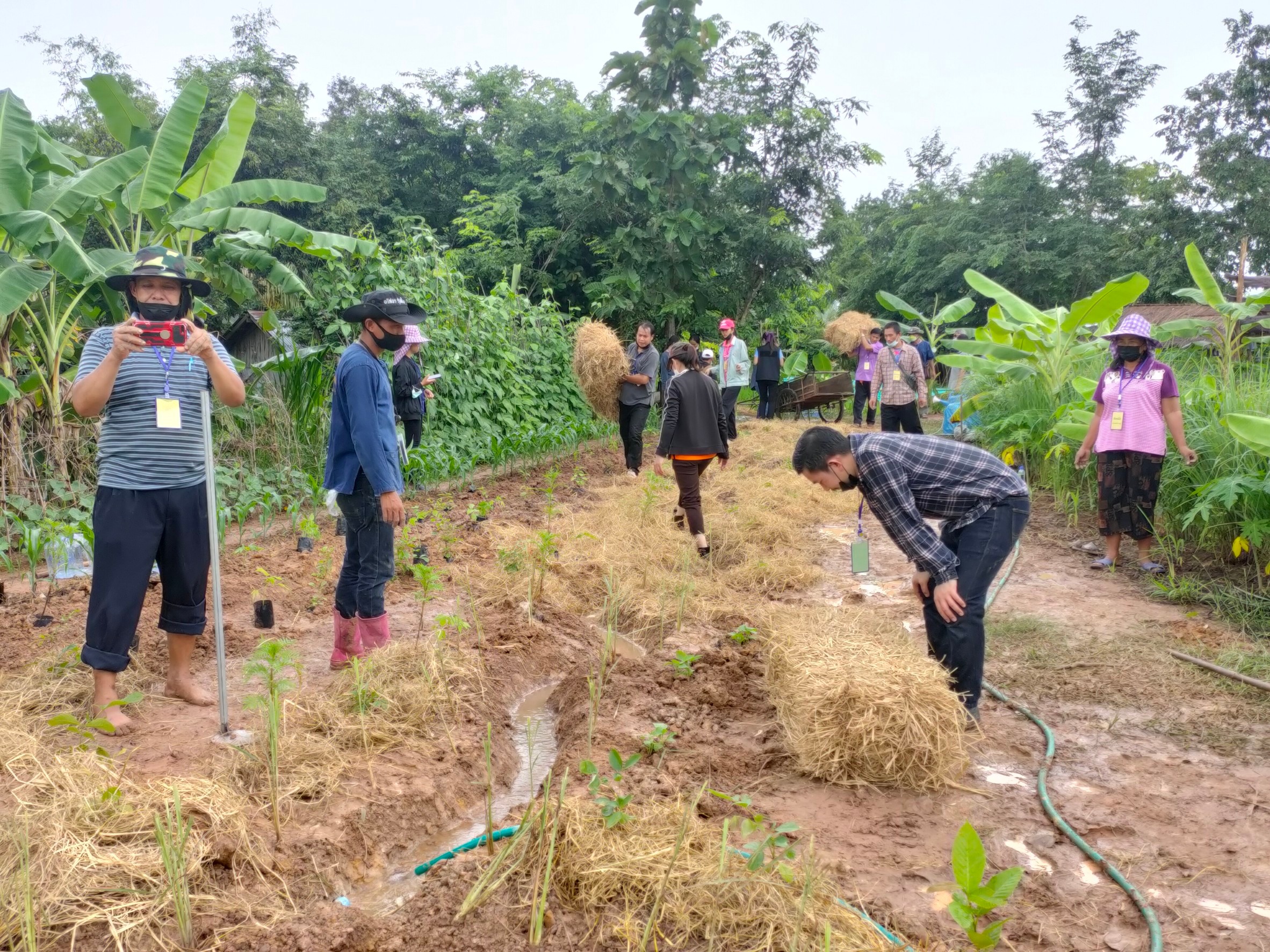 พช.ยโสธร ร่วมโครงการพัฒนาพื้นที่ต้นแบบการพัฒนาคุณภาพชีวิตตามหลักทฤษฎีใหม่ ประยุกต์สู่ โคก หนอง นา โมเดล กิจกรรมที่ 1 ฝึกอบรมระยะสั้นการพัฒนากสิกรรมสู่ระบบเศรษฐกิจพอเพียง รูปแบบ โคก หนอง นา โมเดล  แก่เจ้าของแปลงฯ และนักพัฒนาพื้นที่ต้นแบบ (นพต.) ของจังหวัดยโสธร ผ่านระบบ Zoom Cloud Meeting