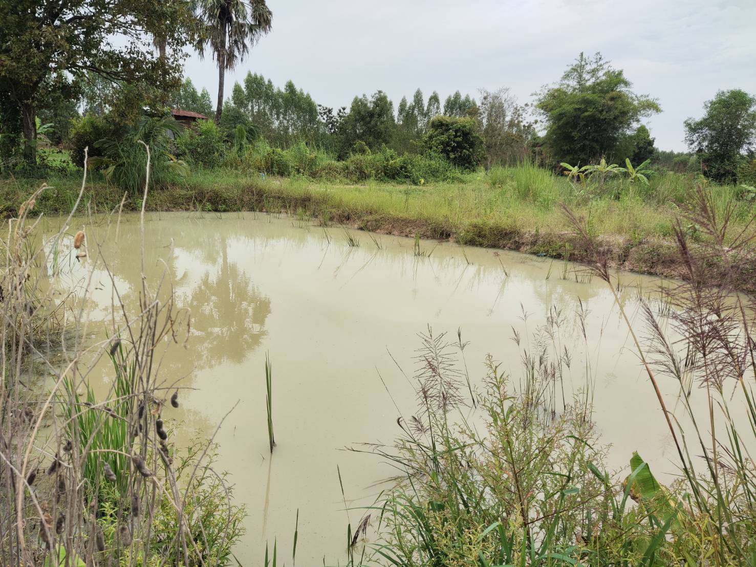 พช.ยโสธร  พัฒนาการจังหวัดยโสธร ตรวจเยี่ยมพื้นที่โครงการพัฒนาพื้นที่ต้นแบบการพัฒนาคุณภาพชีวิต ตามหลักทฤษฎีใหม่ประยุกต์สู่ “โคกหนองนา พช.”ครัวเรือนต้นแบบ HLM อำเภอกุดชุม จังหวัดยโสธร