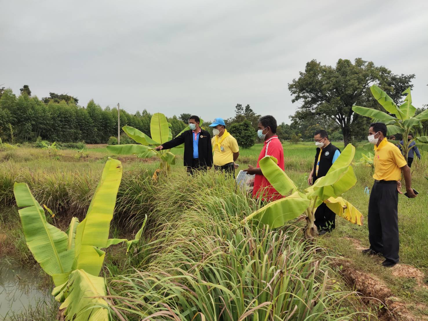 พช.ยโสธร  พัฒนาการจังหวัดยโสธร ตรวจเยี่ยมพื้นที่โครงการพัฒนาพื้นที่ต้นแบบการพัฒนาคุณภาพชีวิต ตามหลักทฤษฎีใหม่ประยุกต์สู่ “โคกหนองนา พช.”ครัวเรือนต้นแบบ HLM อำเภอกุดชุม จังหวัดยโสธร