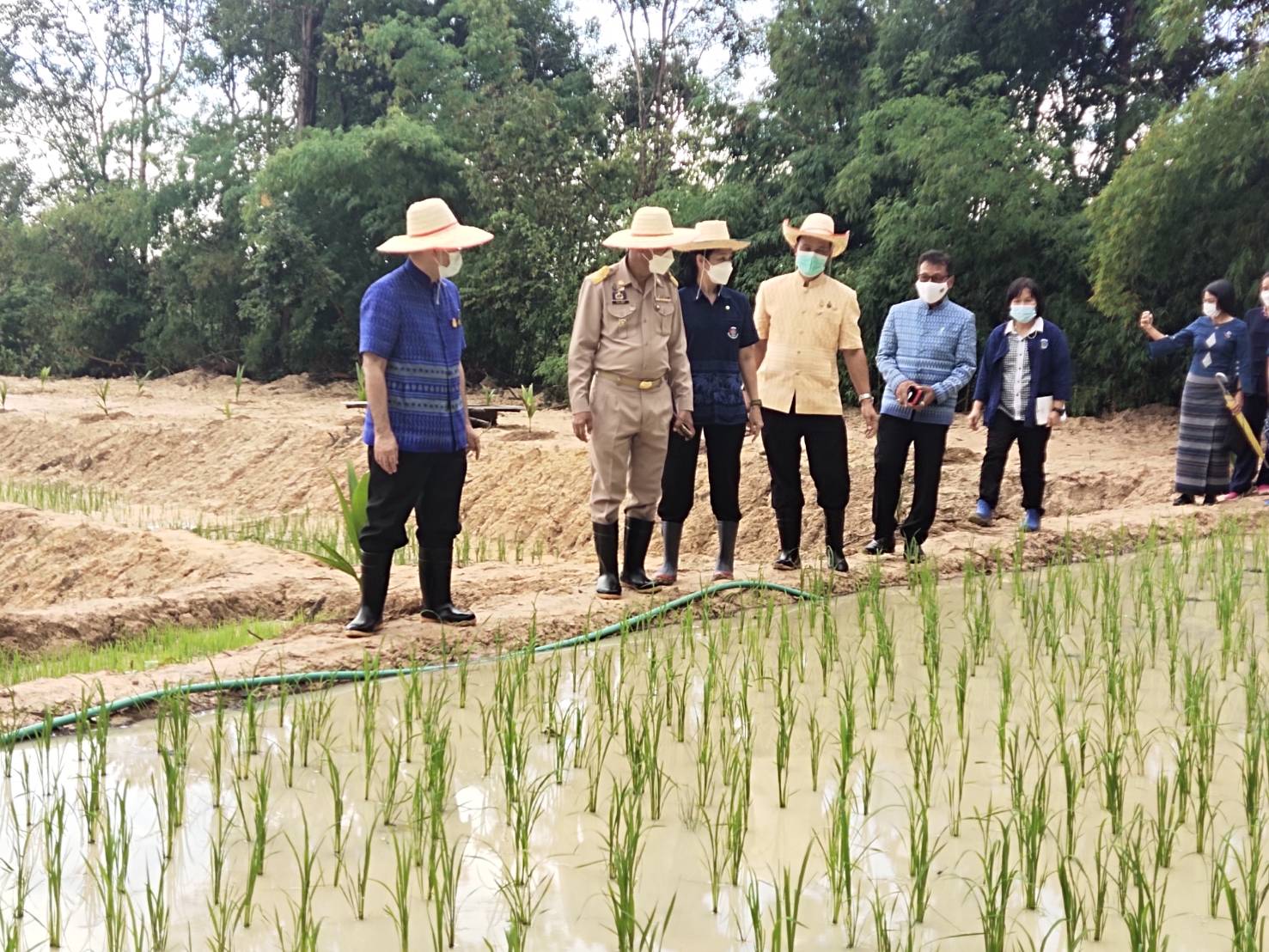 พช.ยโสธร   พัฒนาการจังหวัดยโสธร ร่วมต้อนรับอธิบดีกรมการพัฒนาชุมชน (นายสมคิด จันทมฤก )ลงพื้นที่ตรวจราชการ ศูนย์การเรียนรู้ต้นแบบ “โคก หนอง นา” ในการพัฒนาคุณภาพชีวิต บนพื้นฐานแห่งความพอเพียง ณ พื้นที่จังหวัดอุบลราชธานี