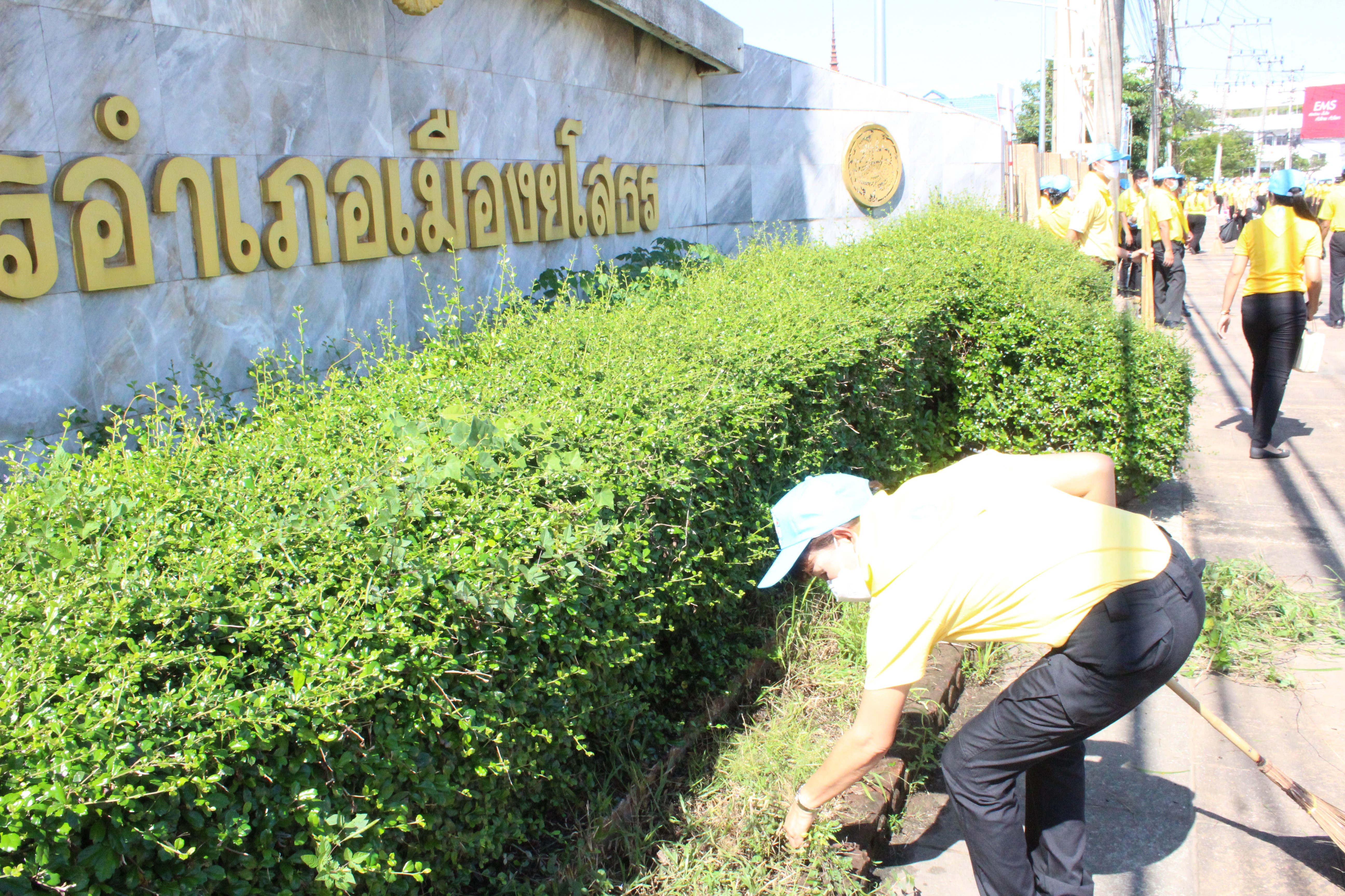 พช.ยโสธร  ร่วมกิจกรรมจิตอาสาพัฒนา ถนนโครงการ 1 จังหวัด 1 ถนนเฉลิมพระเกียรติ จังหวัดยโสธร ??