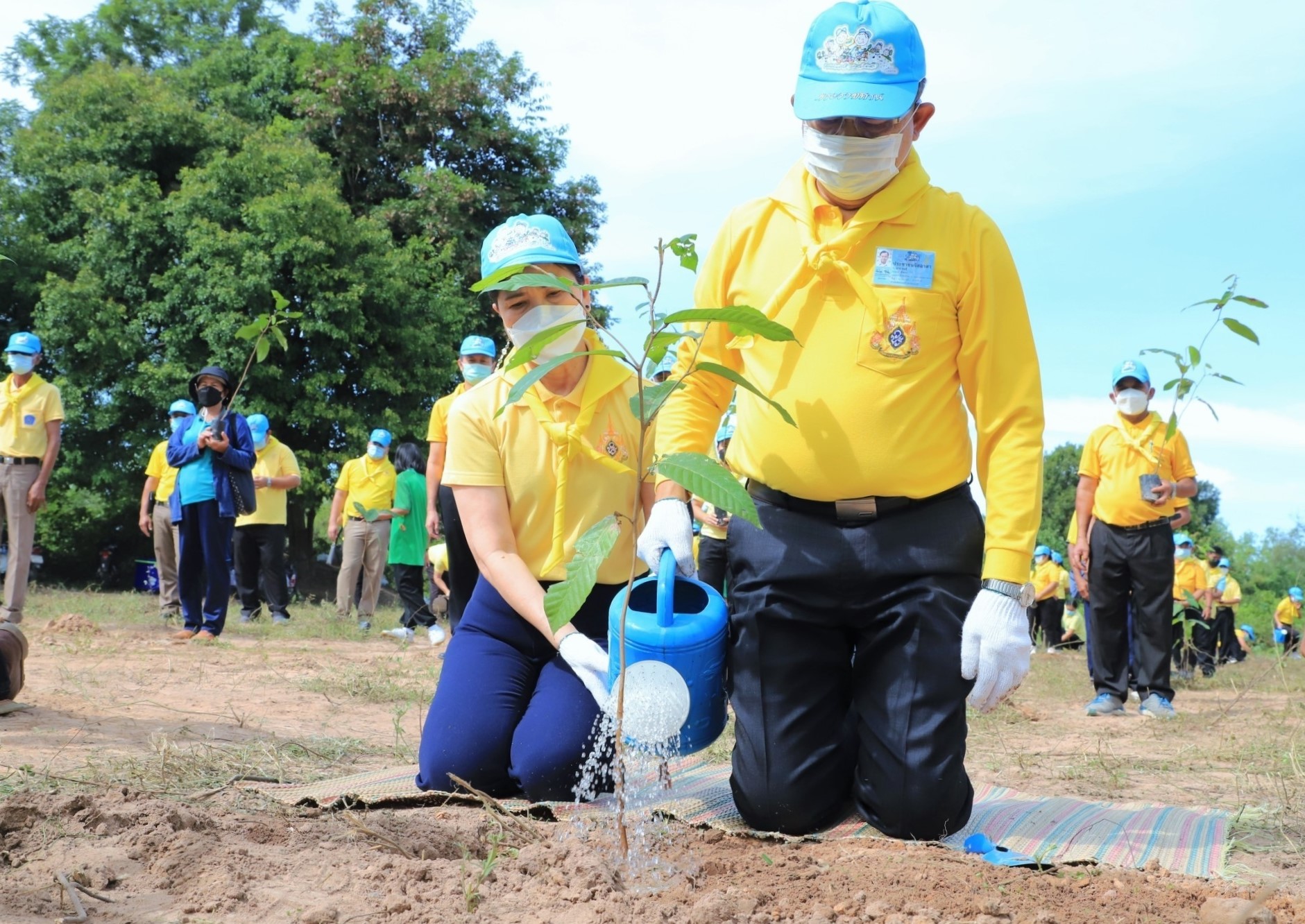 พช ยโสธร ร่วมกิจกรรมจิตอาสาปลูกป่าพัฒนาที่สาธารณประโยชน์ ??