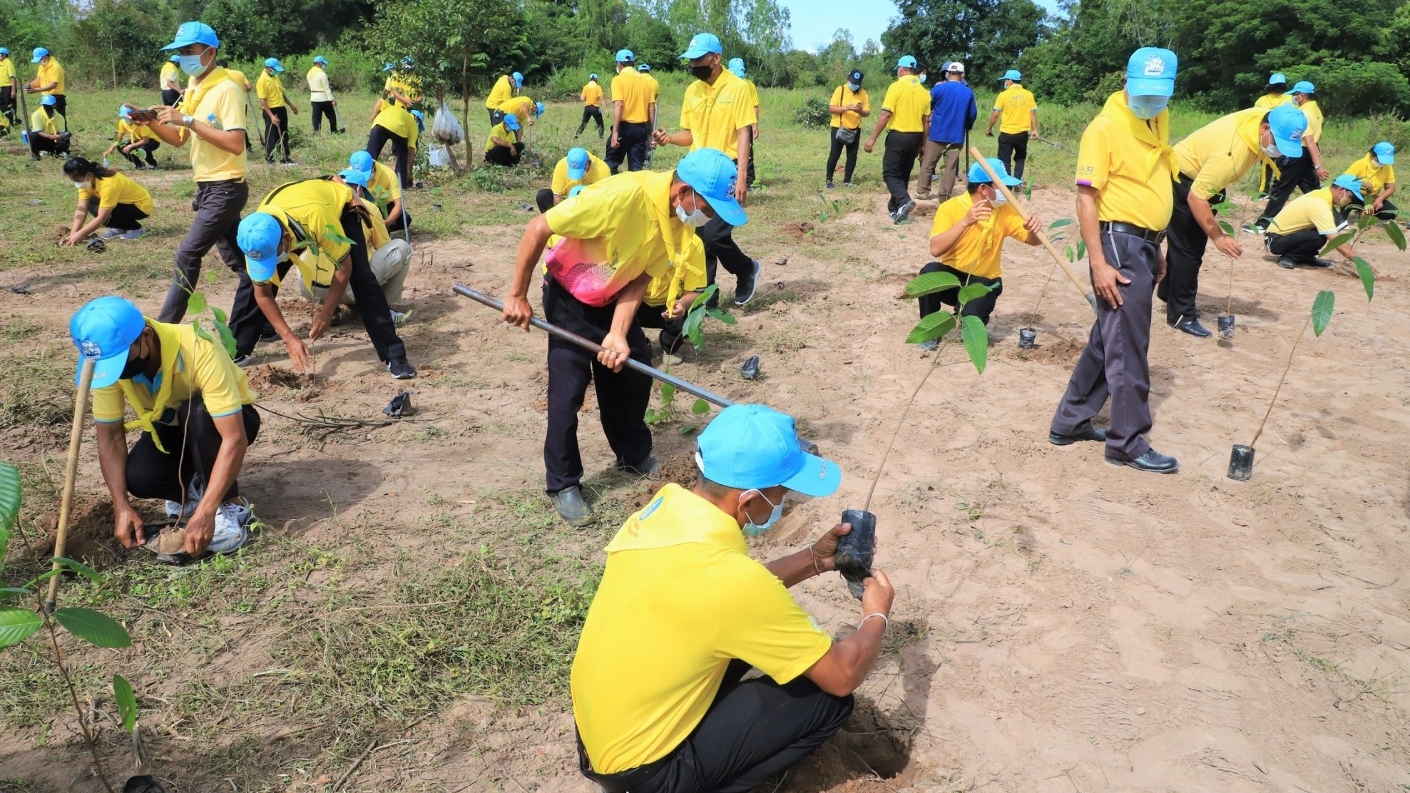 พช ยโสธร ร่วมกิจกรรมจิตอาสาปลูกป่าพัฒนาที่สาธารณประโยชน์ ??