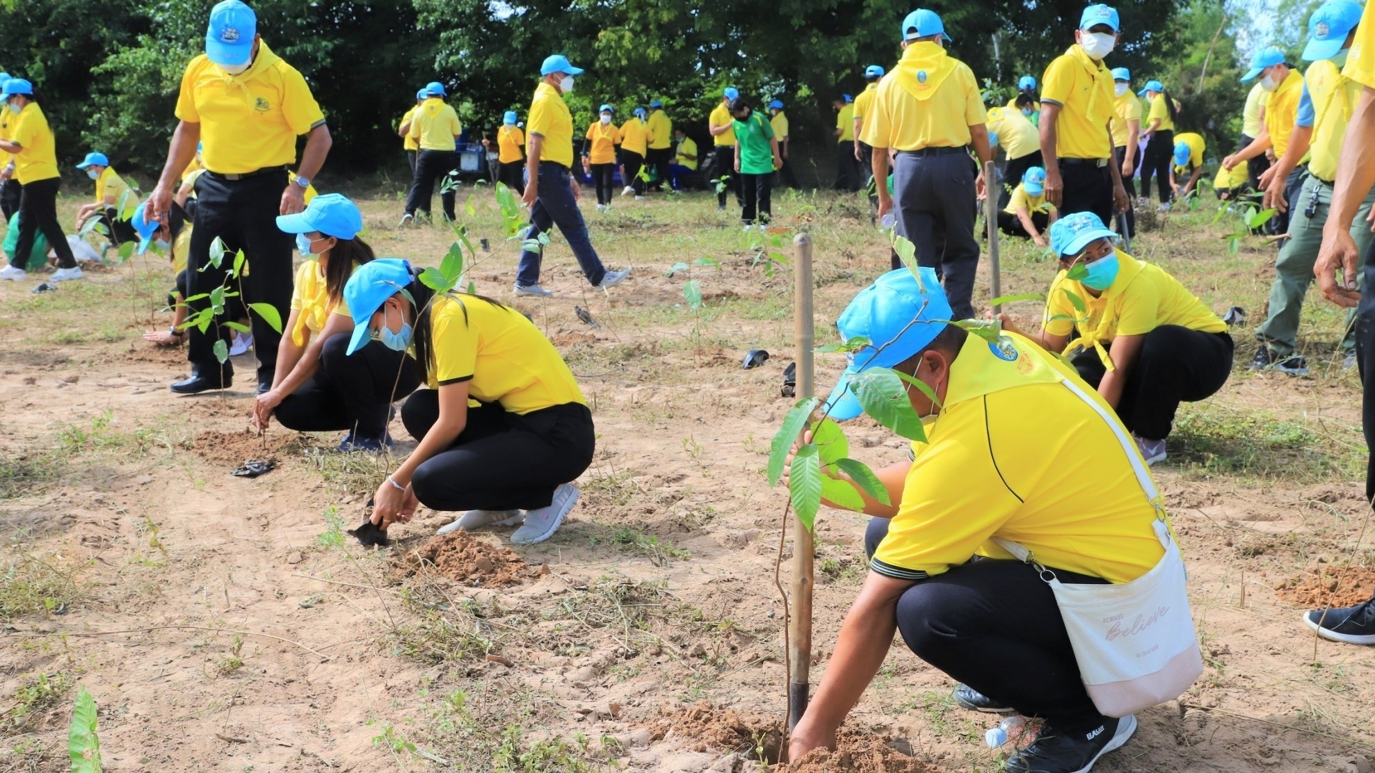 พช ยโสธร ร่วมกิจกรรมจิตอาสาปลูกป่าพัฒนาที่สาธารณประโยชน์ ??