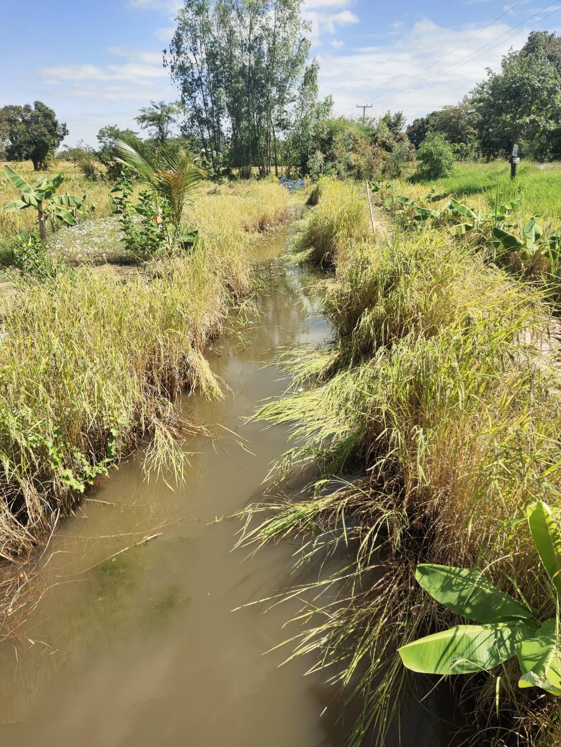 พช.ยโสธร  ลงพื้นที่เยี่ยมต้นแบบผลสำเร็จการพัฒนาคุณภาพชีวิตตามหลักทฤษฎีใหม่ประยุกต์สู่ “โคก หนอง นา ” เพื่อพลิกฟื้นความยั่งยืนสู่ชุมชน ??