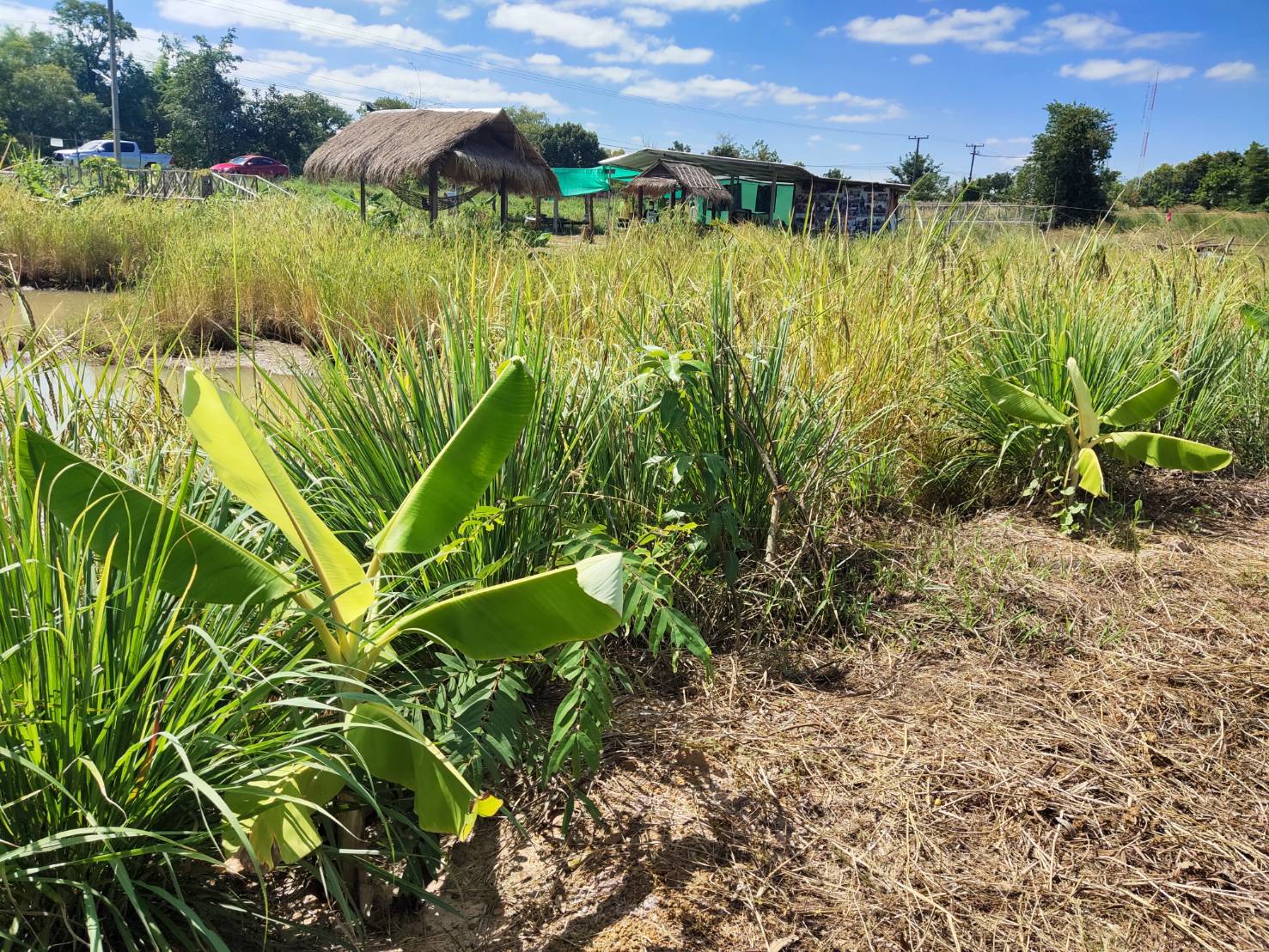 พช.ยโสธร  ลงพื้นที่เยี่ยมต้นแบบผลสำเร็จการพัฒนาคุณภาพชีวิตตามหลักทฤษฎีใหม่ประยุกต์สู่ “โคก หนอง นา ” เพื่อพลิกฟื้นความยั่งยืนสู่ชุมชน ??