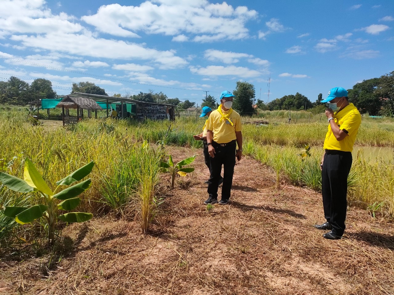 พช.ยโสธร  ลงพื้นที่เยี่ยมต้นแบบผลสำเร็จการพัฒนาคุณภาพชีวิตตามหลักทฤษฎีใหม่ประยุกต์สู่ “โคก หนอง นา ” เพื่อพลิกฟื้นความยั่งยืนสู่ชุมชน ??