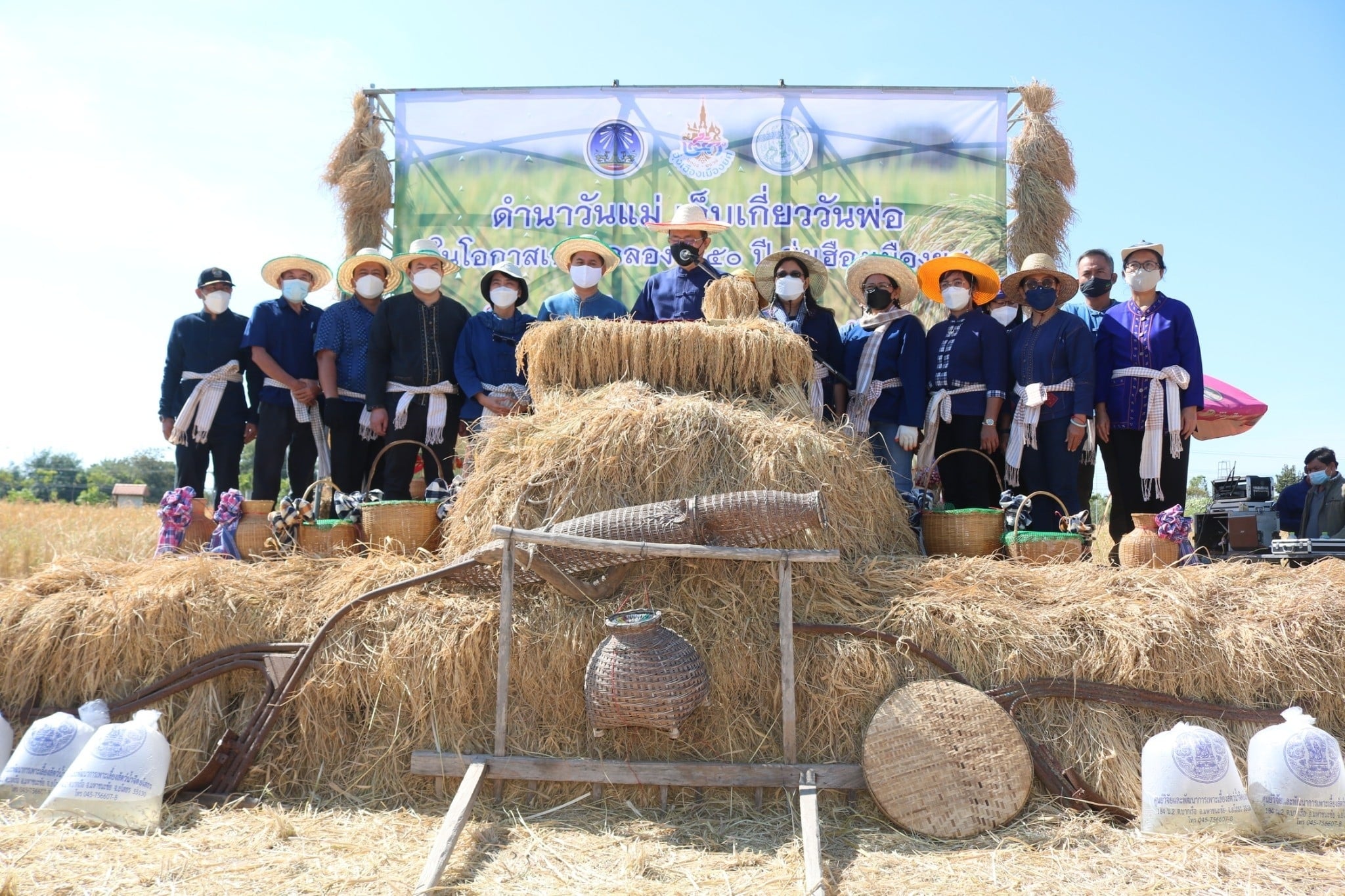 พช.ยโสธร ร่วมกิจกรรมลงแขกเกี่ยวข้าวแปลงนาอินทรีย์ ( ดำนาวันแม่ เก็บเกี่ยววันพ่อในโอกาสเฉลิมฉลอง 250 ปี ฮุ่งเฮืองเมืองยศ) ???