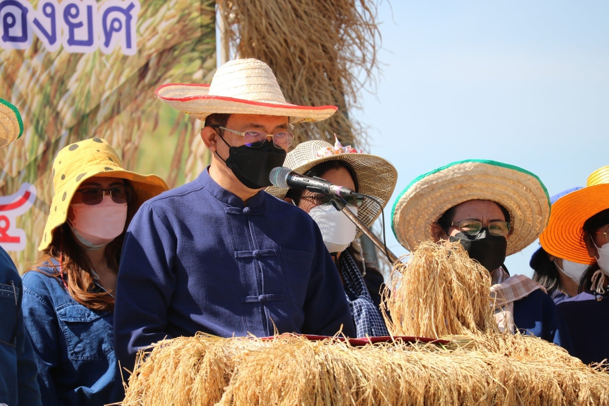 พช.ยโสธร ร่วมกิจกรรมลงแขกเกี่ยวข้าวแปลงนาอินทรีย์ ( ดำนาวันแม่ เก็บเกี่ยววันพ่อในโอกาสเฉลิมฉลอง 250 ปี ฮุ่งเฮืองเมืองยศ) ???