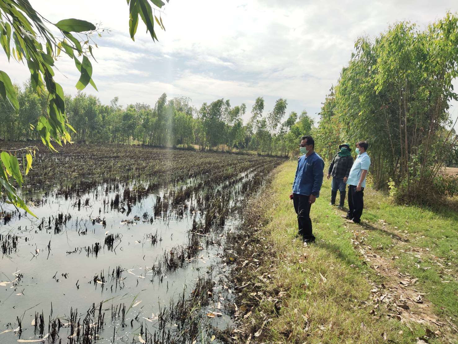 พช.ยโสธร  ลงพื้นที่เตรียมความพร้อม โครงการพัฒนาพื้นที่ต้นแบบการพัฒนาคุณภาพชีวิตตามหลักทฤษฏีใหม่ประยุกต์สู่ “โคก หนอง นา โมเดล” ในการตรวจราชการของรองอธิบดีกรมการพัฒนาชุมชน?