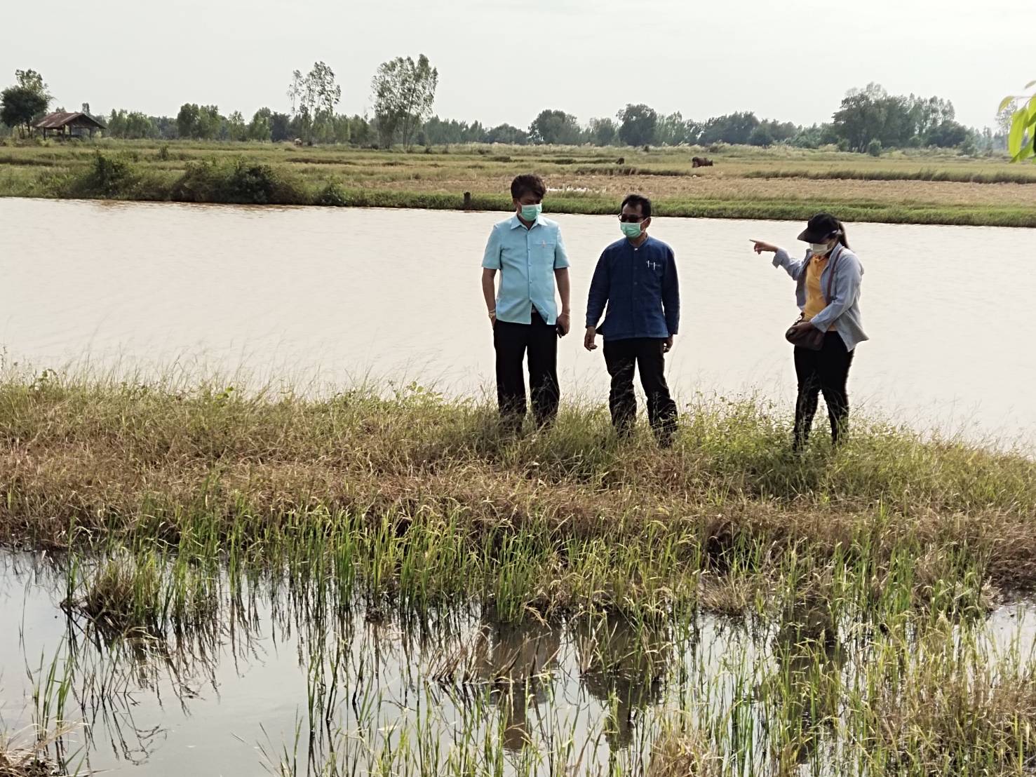 พช.ยโสธร  ลงพื้นที่เตรียมความพร้อม โครงการพัฒนาพื้นที่ต้นแบบการพัฒนาคุณภาพชีวิตตามหลักทฤษฏีใหม่ประยุกต์สู่ “โคก หนอง นา โมเดล” ในการตรวจราชการของรองอธิบดีกรมการพัฒนาชุมชน?
