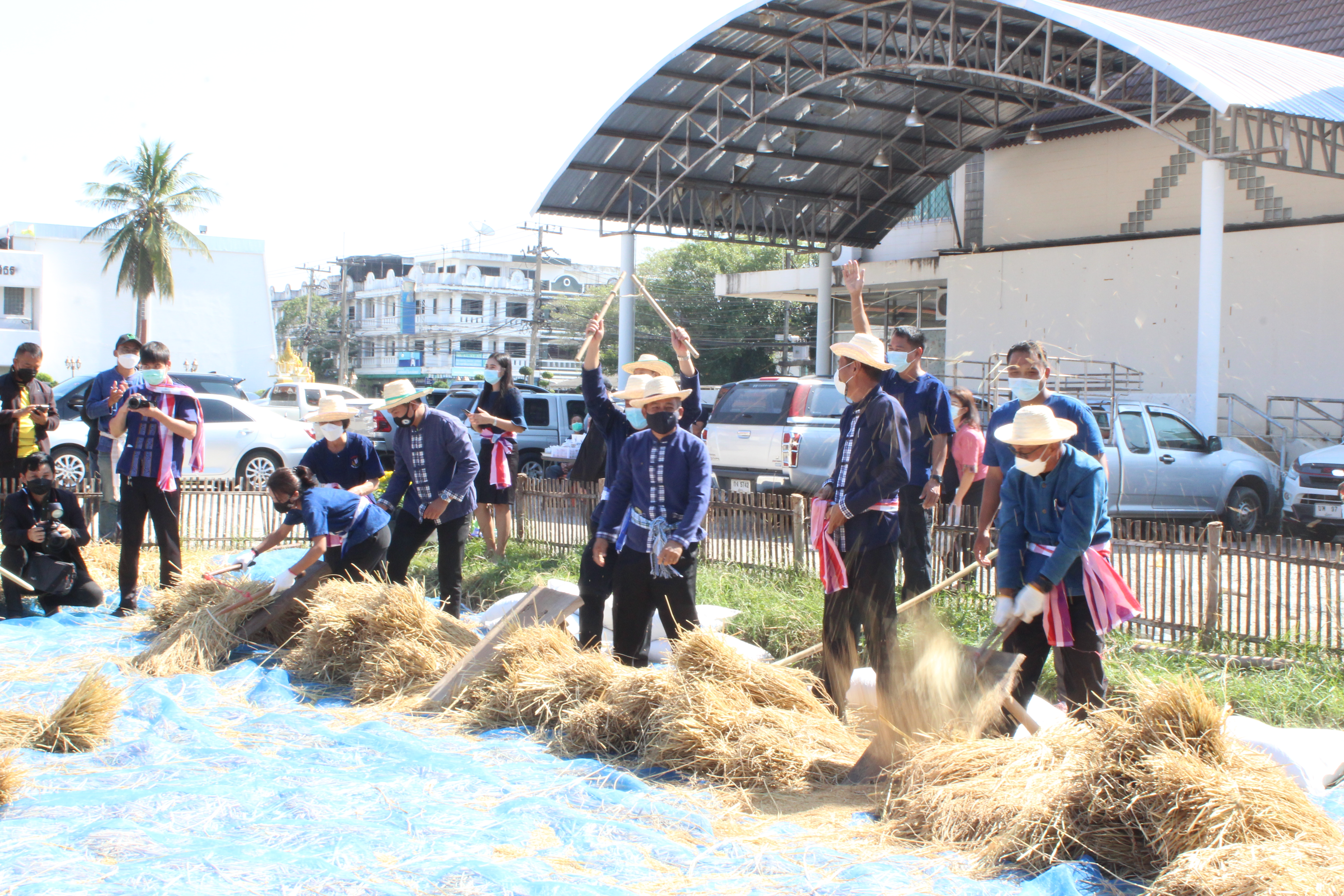 พช.ยโสธร ร่วมกิจกรรมลงแขกเกี่ยวข้าวแปลงนาอินทรีย์ (ดำนาวันแม่ เก็บเกี่ยววันพ่อ) ในโอกาสเฉลิมฉลอง 250 ปี ฮุกเฮืองเมืองยศ ???