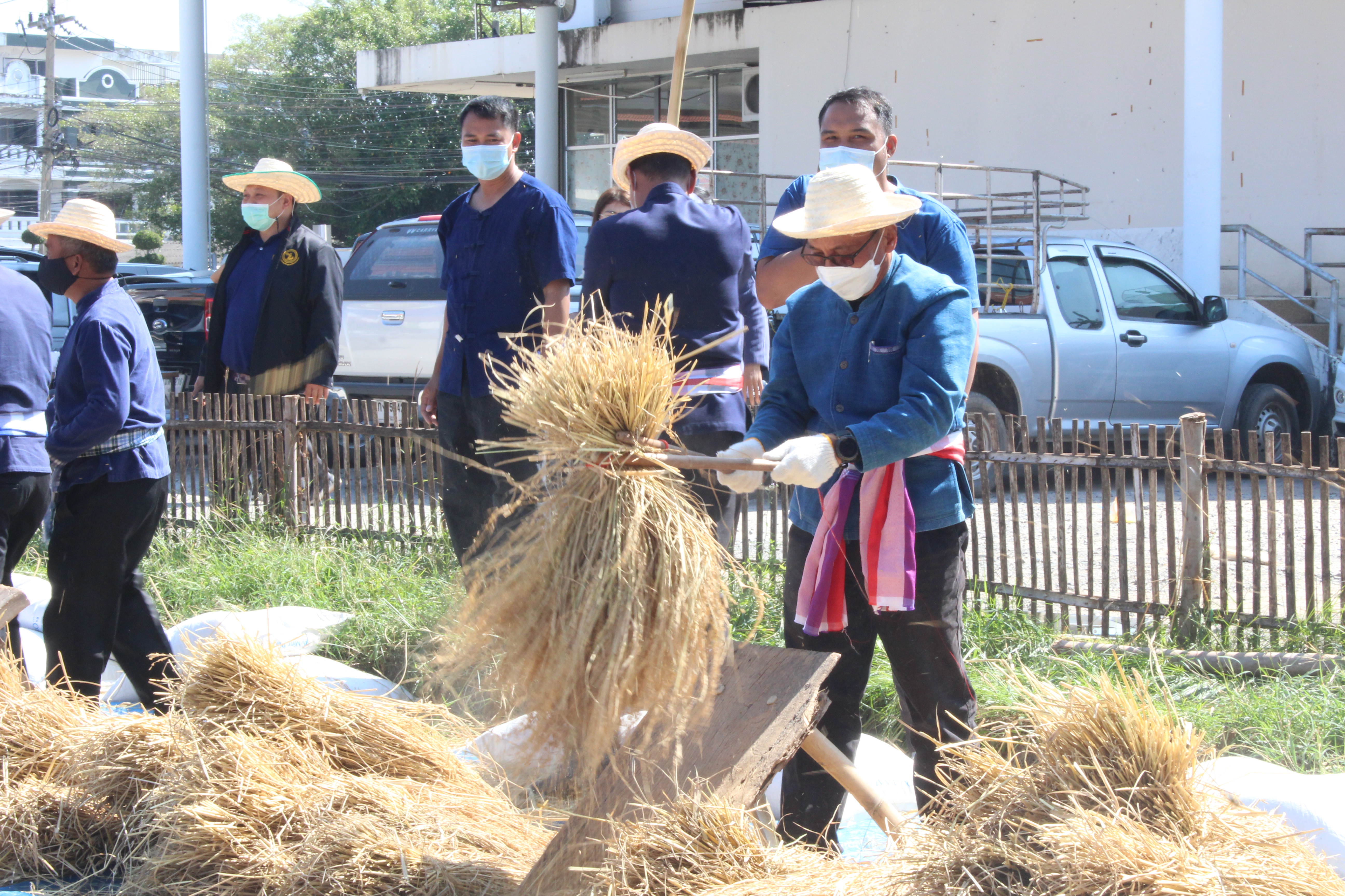 พช.ยโสธร ร่วมกิจกรรมลงแขกเกี่ยวข้าวแปลงนาอินทรีย์ (ดำนาวันแม่ เก็บเกี่ยววันพ่อ) ในโอกาสเฉลิมฉลอง 250 ปี ฮุกเฮืองเมืองยศ ???