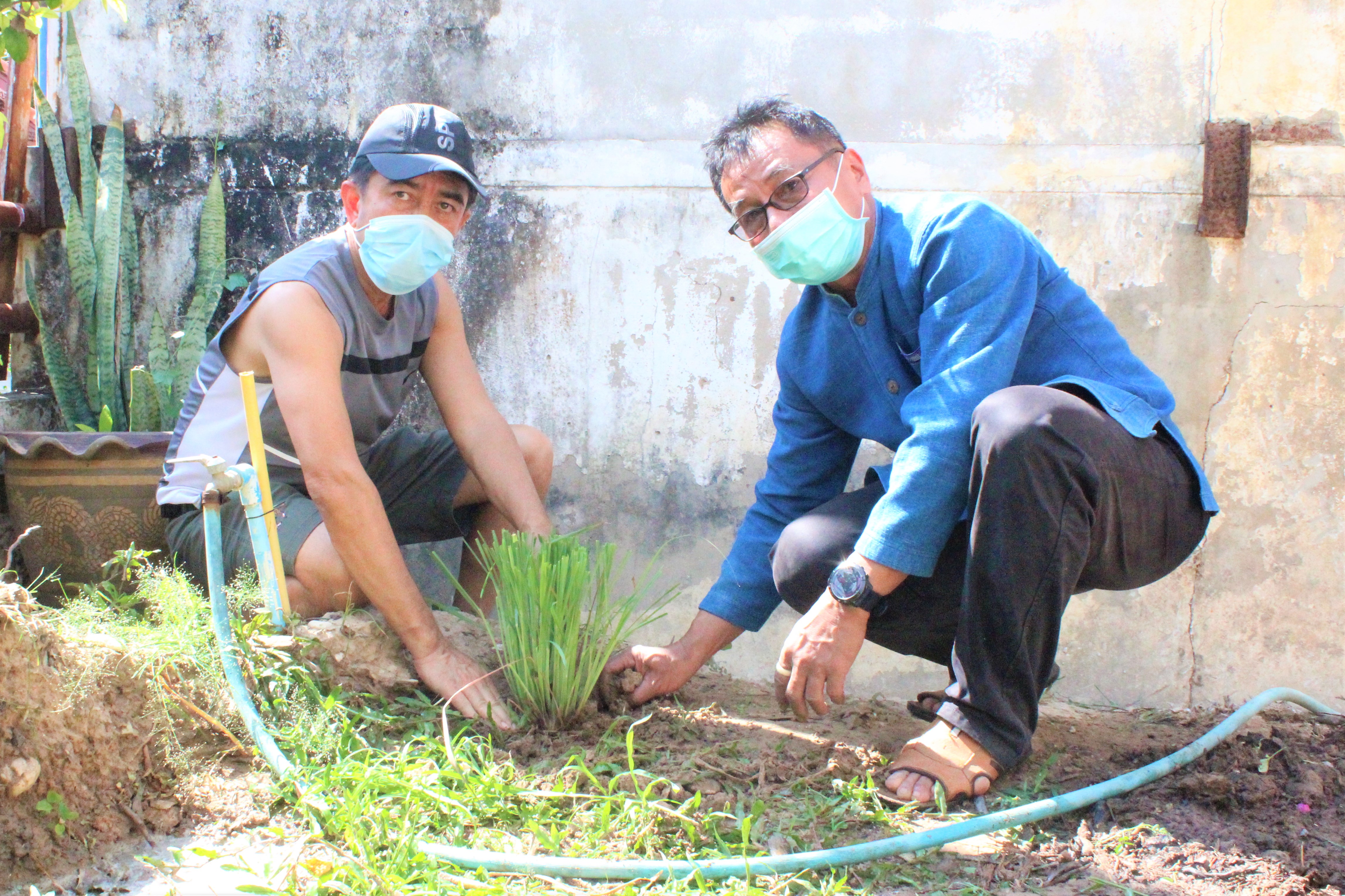 พช.ยโสธร ชวนพี่น้องปลูกผักสวนครัว – พืชสมุนไพรไทย ทางเลือกป้องกันโควิด-19 ???