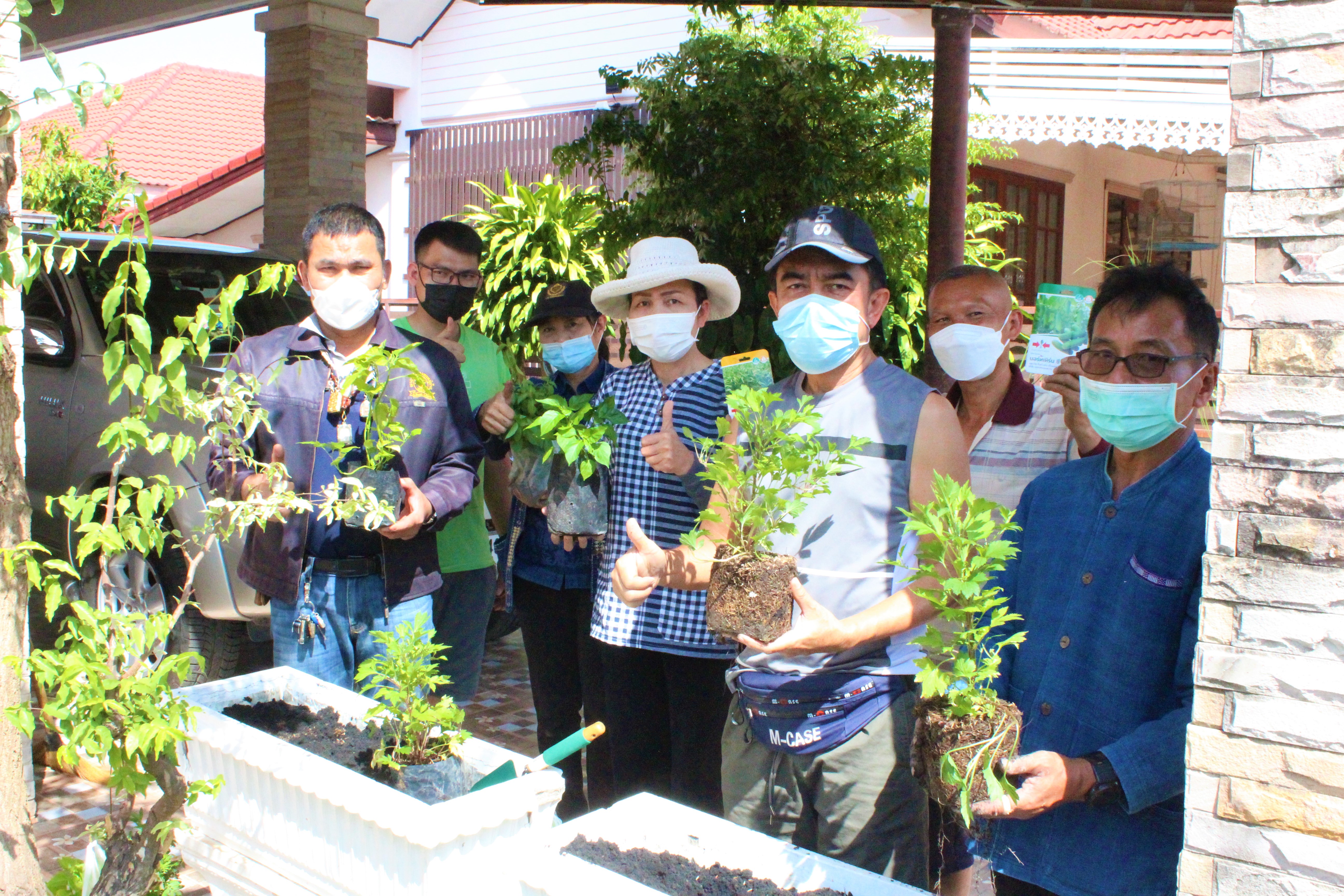 พช.ยโสธร ชวนพี่น้องปลูกผักสวนครัว – พืชสมุนไพรไทย ทางเลือกป้องกันโควิด-19 ???