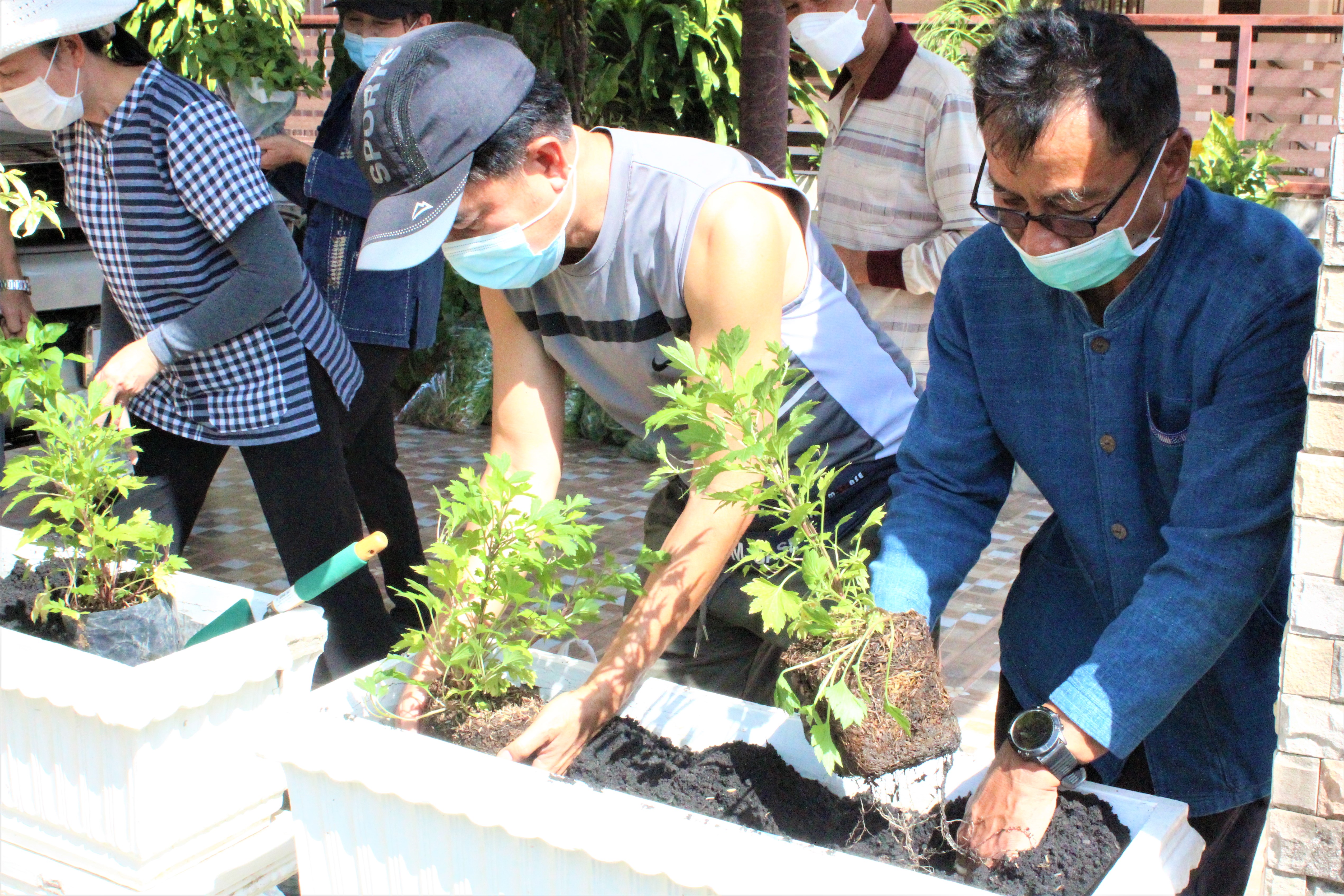 พช.ยโสธร ชวนพี่น้องปลูกผักสวนครัว – พืชสมุนไพรไทย ทางเลือกป้องกันโควิด-19 ???