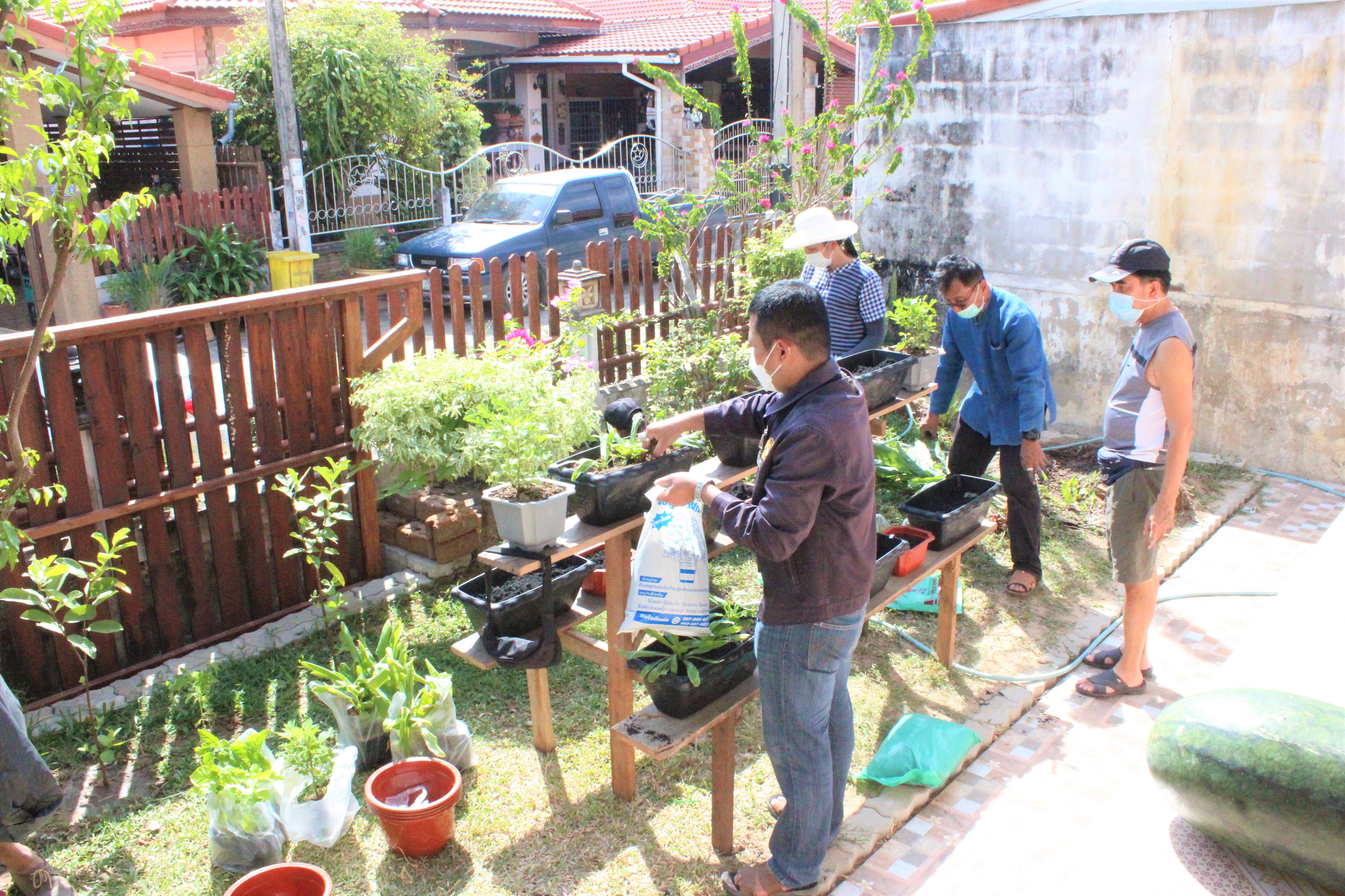 พช.ยโสธร ชวนพี่น้องปลูกผักสวนครัว – พืชสมุนไพรไทย ทางเลือกป้องกันโควิด-19 ???