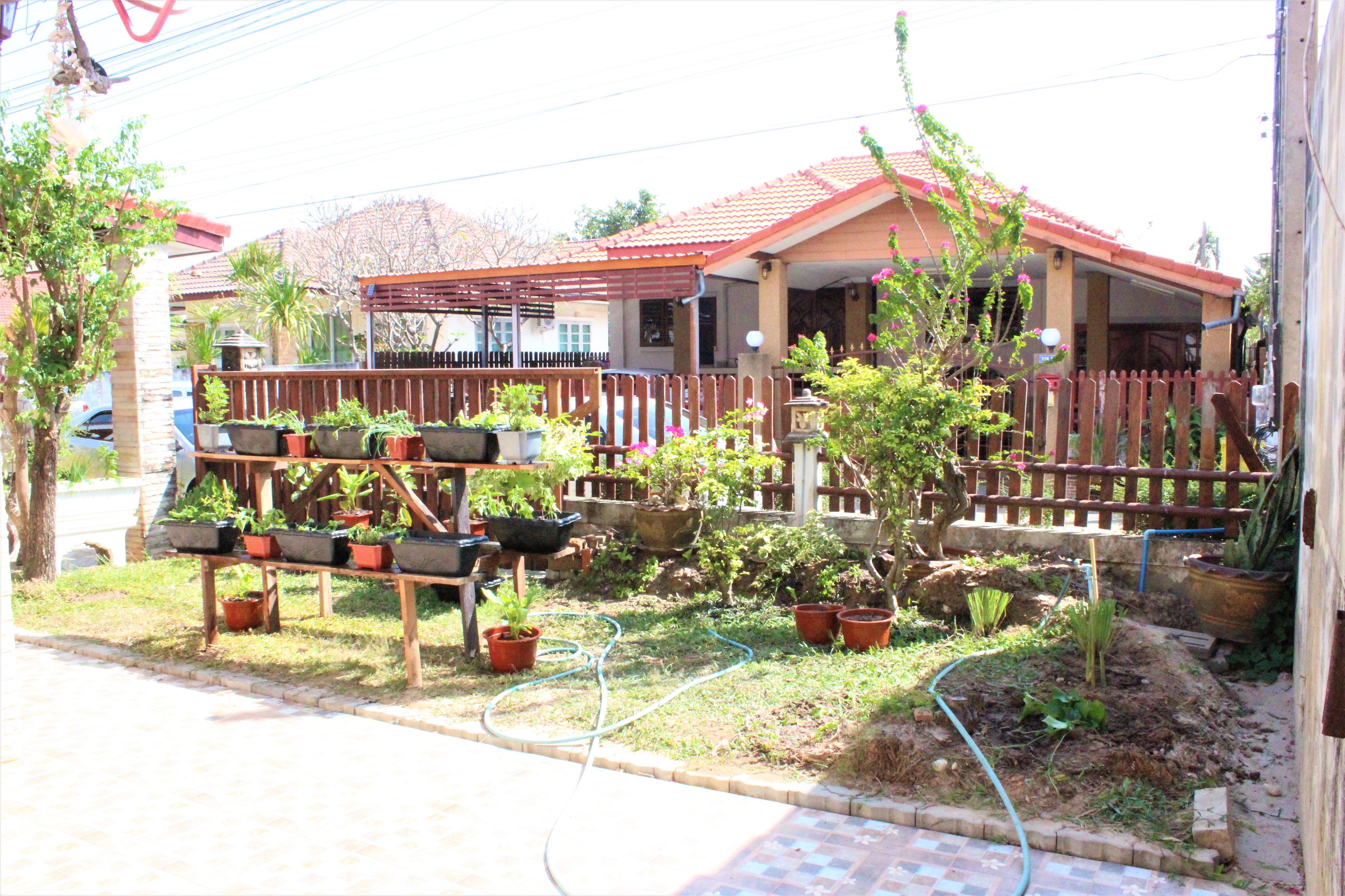 พช.ยโสธร ชวนพี่น้องปลูกผักสวนครัว – พืชสมุนไพรไทย ทางเลือกป้องกันโควิด-19 ???