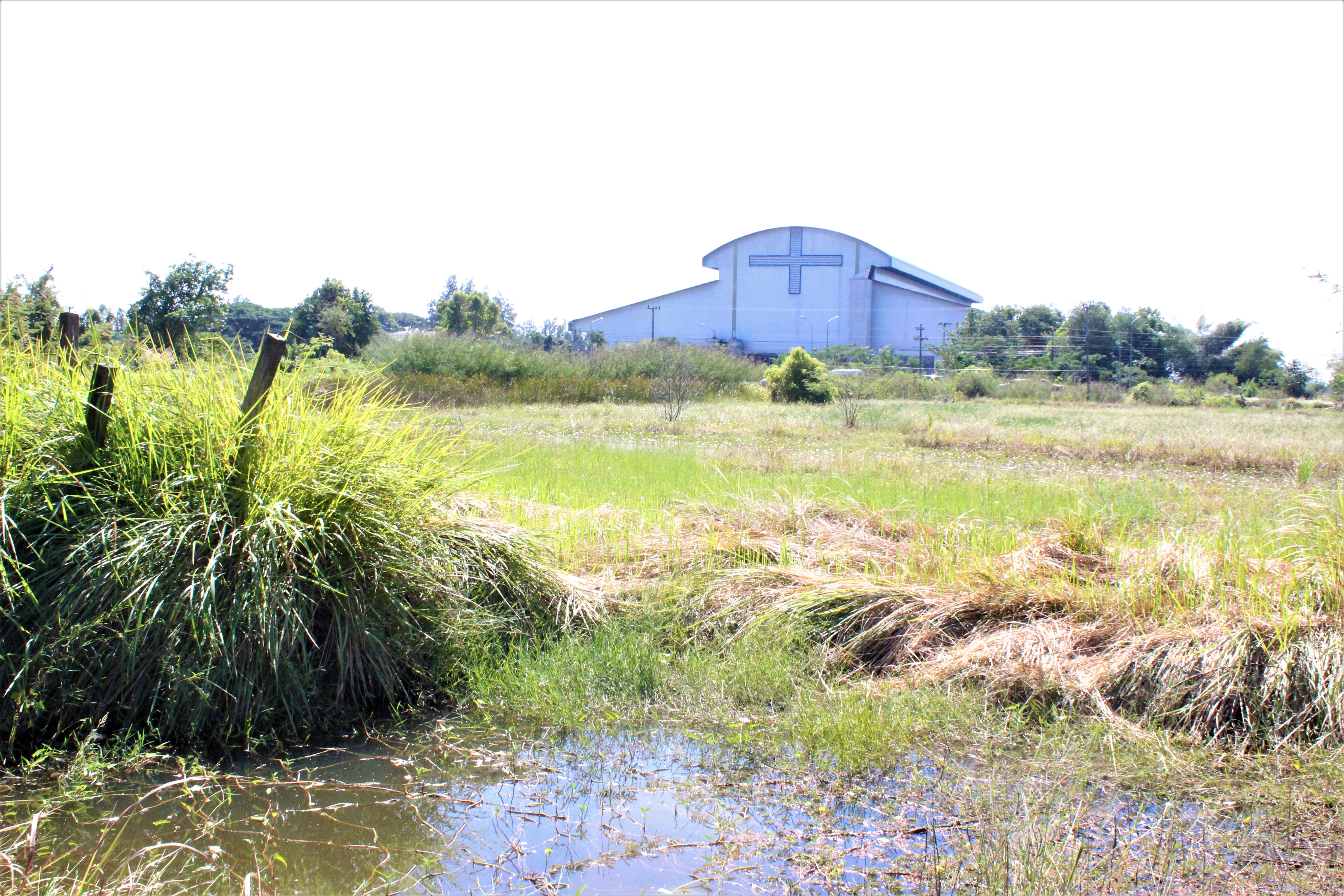 รอง อพช. ลงพื้นที่ตรวจเยี่ยมและติดตาม “โคก หนอง นา พช.” ในพื้นที่จังหวัดยโสธร กรณีถูกน้ำท่วมและไม่สามารถดำเนินการขุดได้