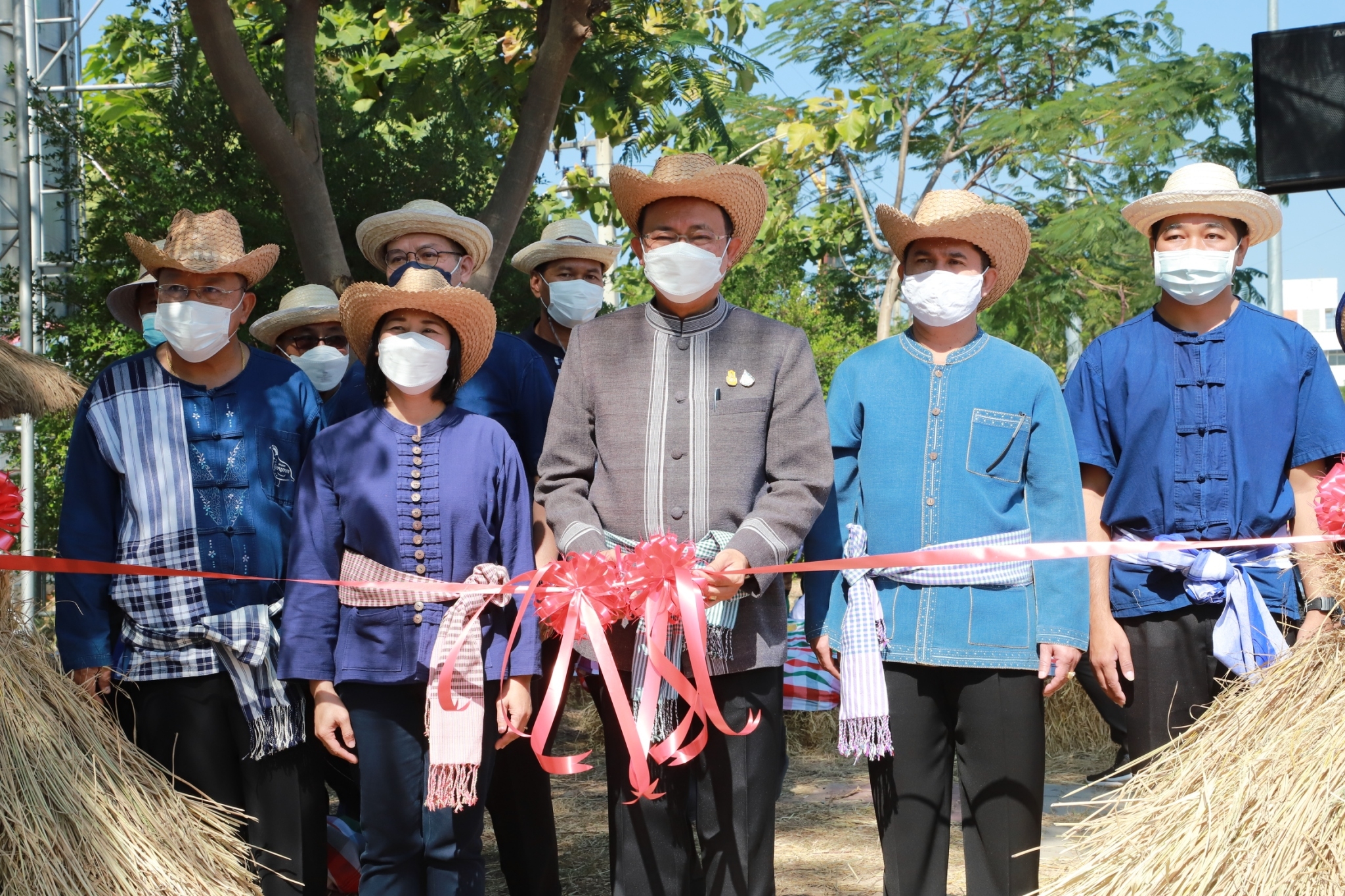 พช.ยโสธร ร่วมกิจกรรมลงแขกเกี่ยวข้าวแปลงนาอินทรีย์ (ดำนาวันแม่ เก็บเกี่ยววันพ่อ) ในโอกาสเฉลิมฉลอง 250 ปี ฮุกเฮืองเมืองยศ ???