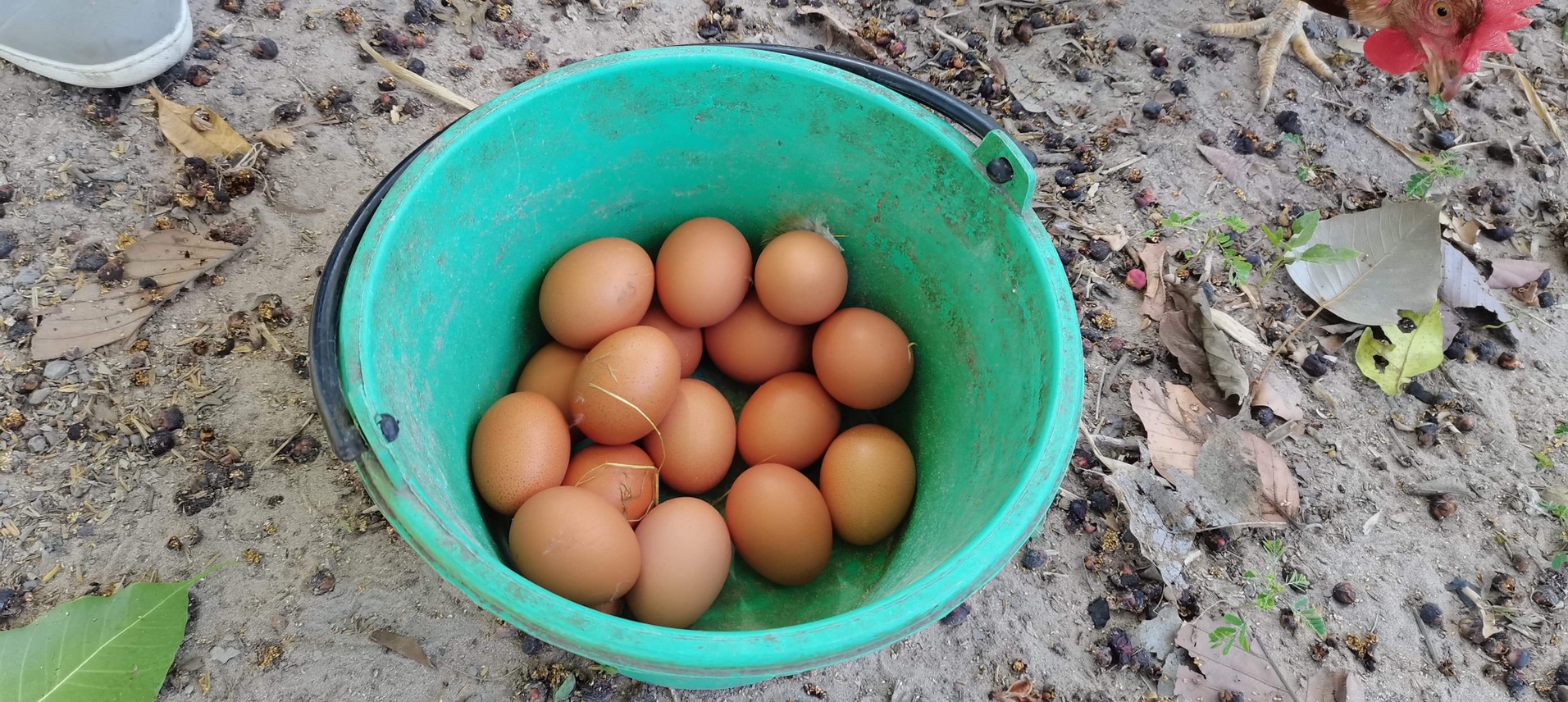 พช.ยโสธร เดินหน้าสร้างความเข้มแข็งหมู่บ้านกองทุนแม่ของแผ่นดินพร้อมหนุนเสริมสัมมาชีพชุมชนแก่เยาชนกลุ่มเสี่ยงและผู้ผ่านการบำบัด