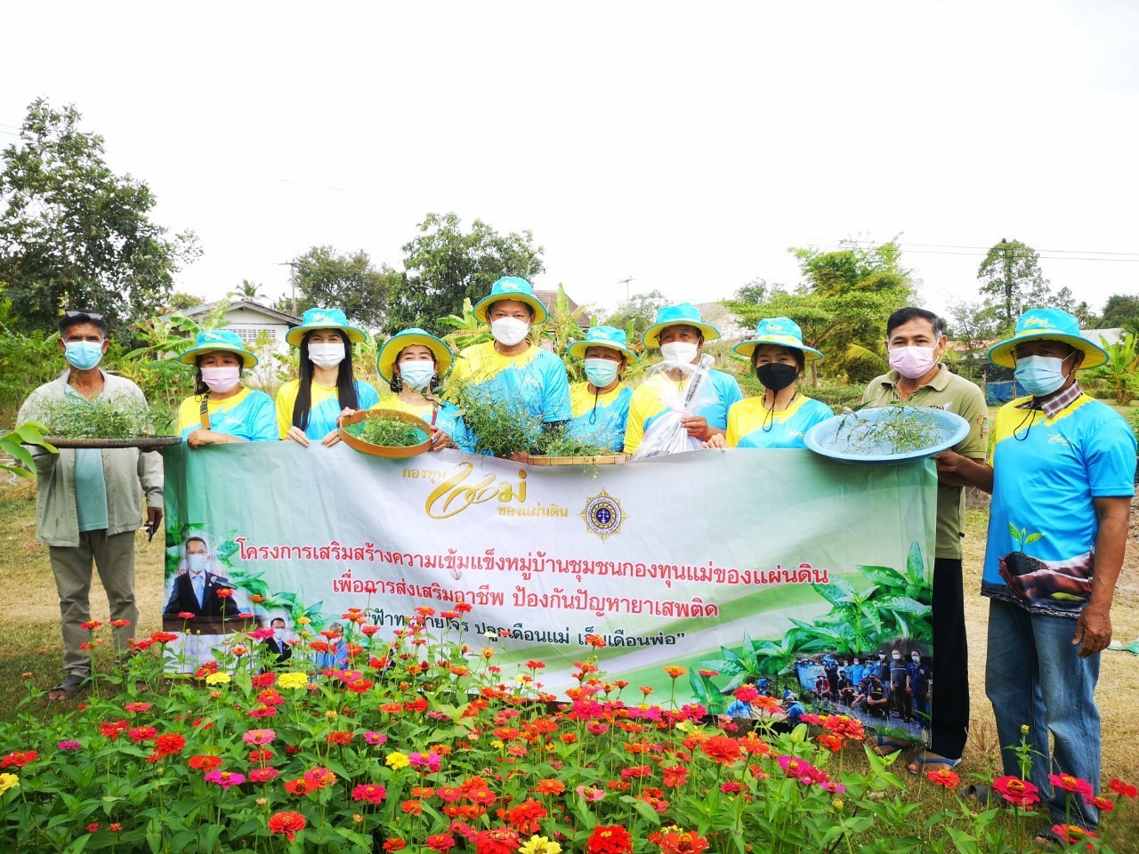 พช.ยโสธร ร่วมกิจกรรมเก็บเกี่ยว “ฟ้าทะลายโจร ปลูกเดือนแม่ เก็บเดือนพ่อ”