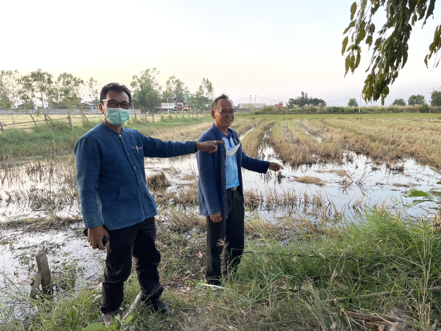 พช.ยโสธร ลงพื้นที่ติดตามสนับสนุนโครงการพัฒนาพื้นที่ต้นแบบการพัฒนาคุณภาพชีวิตตามหลักทฤษฎีใหม่ประยุกต์สู่ “โคก หนอง นา โมเดล.” ในพื้นที่แปลงน้ำท่วม อำเภอค้อวัง และ อำเภอเมืองยโสธร ? ?