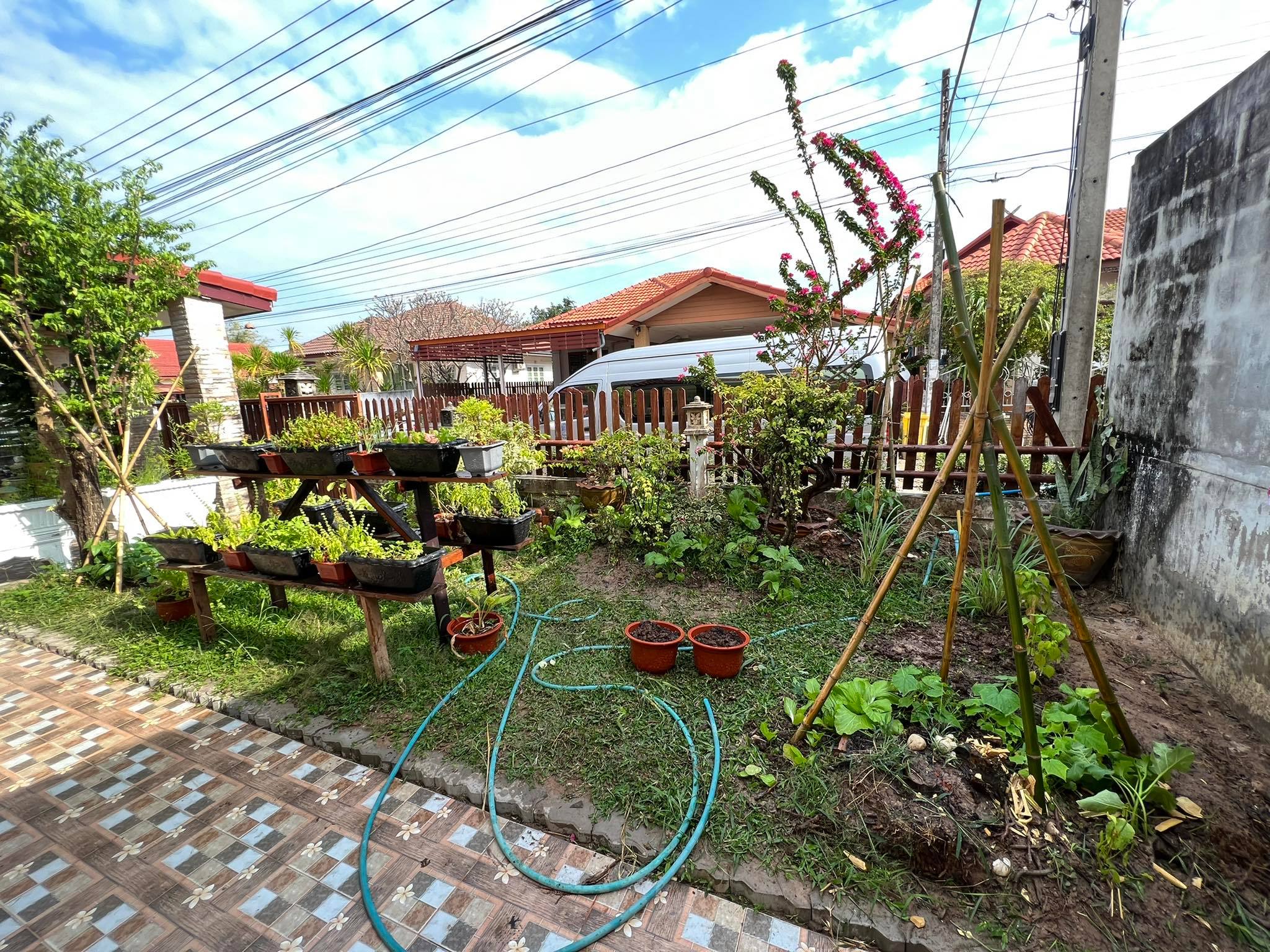 พช.ยโสธร แผนปฏิบัติการ 90 วัน “ปลูกผักสวนครัว เพื่อสร้างความมั่นคงทางอาหาร” ระยะที่ 2 ???