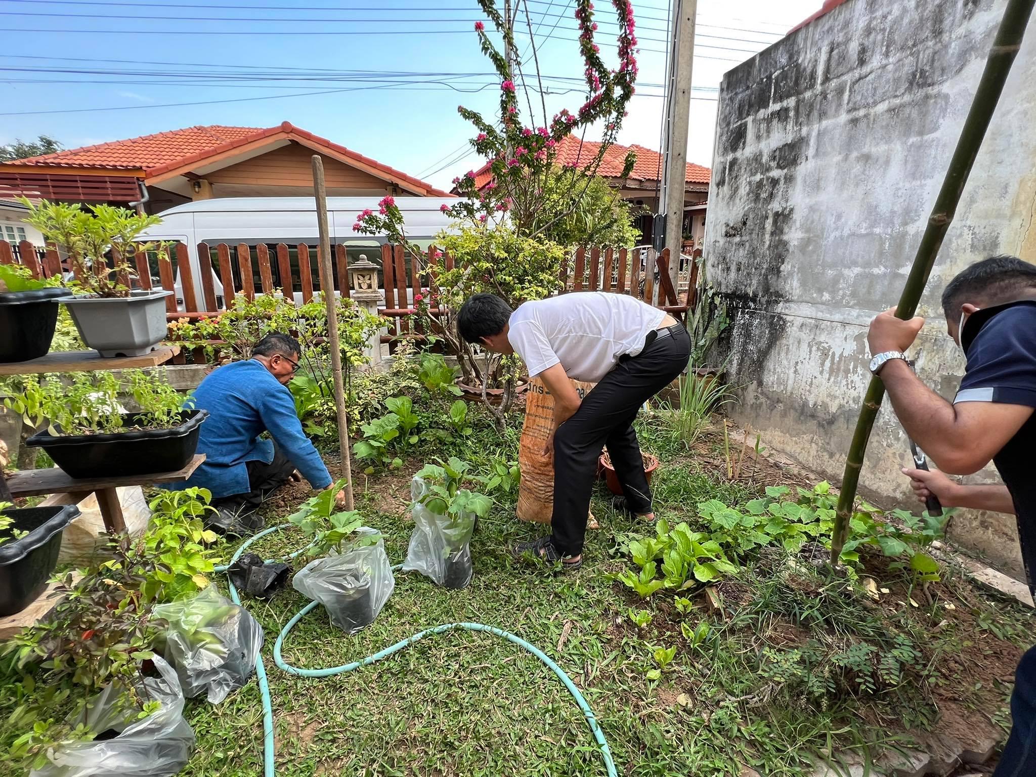 พช.ยโสธร แผนปฏิบัติการ 90 วัน “ปลูกผักสวนครัว เพื่อสร้างความมั่นคงทางอาหาร” ระยะที่ 2 ???