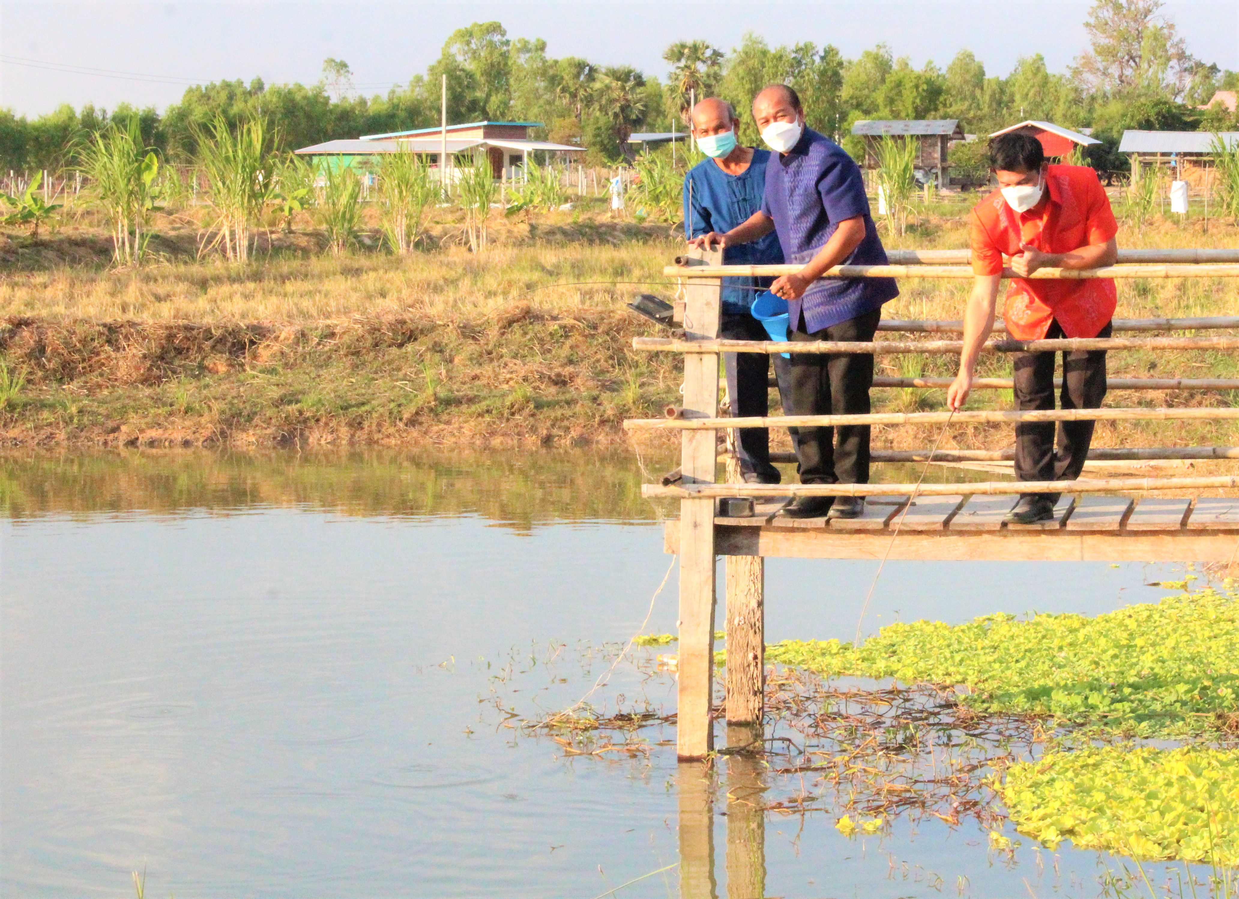 พช.ยโสธร ผู้ตรวจราชการกรมการพัฒนาชุมชน พร้อมทีมลงพื้นที่เยี่ยม แปลง “โคก หนอง นา โมเดล” อ.มหาชนะชัย จ.ยโสธร