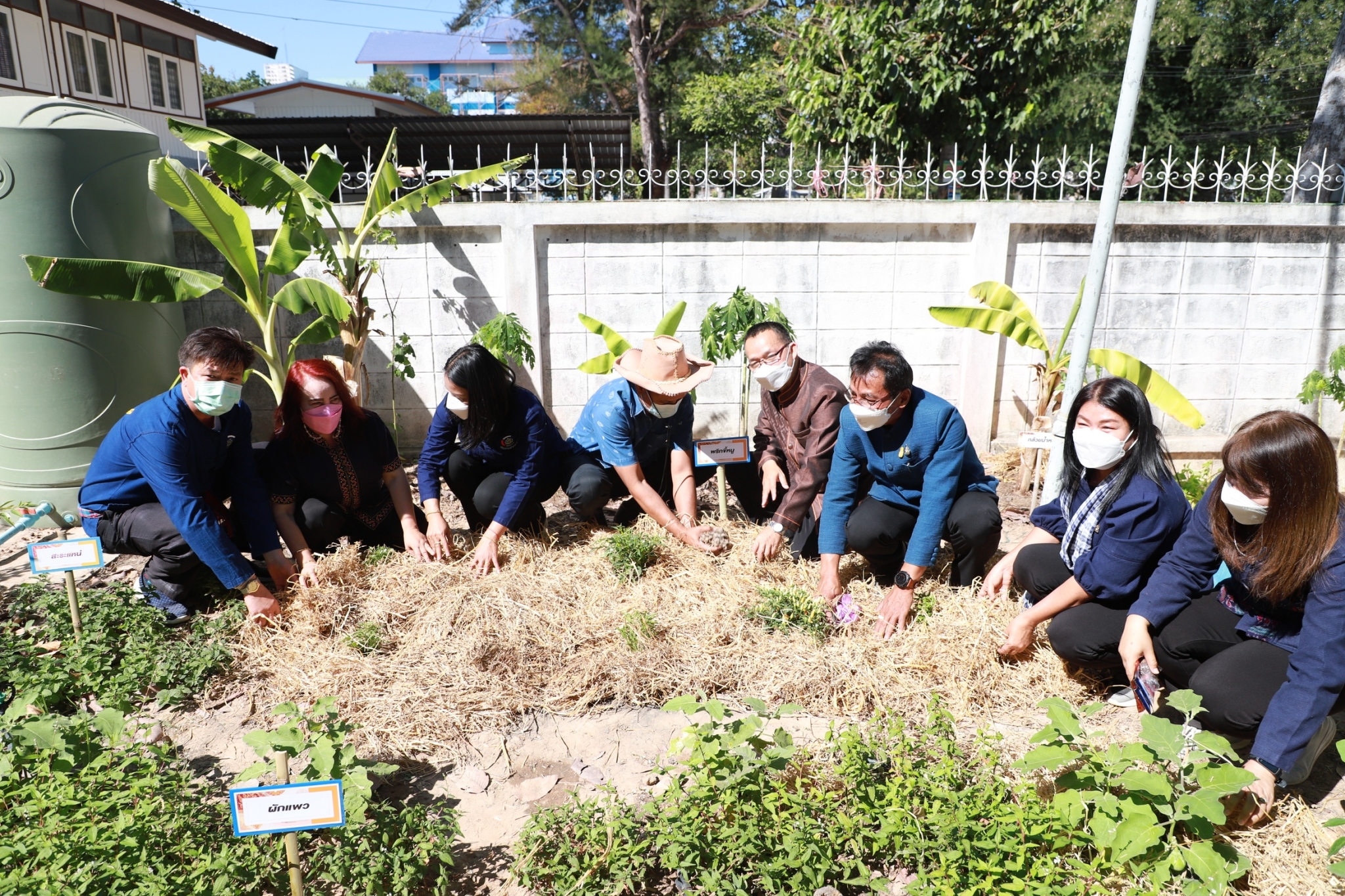 พช.ยโสธร พ่อเมืองผู้นำต้นแบบ ” ที่ว่างสร้างอาหาร” กิจกรรม โครงการอันเนื่องมาจากพระราชดำริและหลักปรัชญาของเศรษฐกิจพอเพียงกิจกรรม “ที่ว่างสร้างอาหาร”และกิจกรรมการน้อมนำแนวพระราชดำริของสมเด็จพระกนิษฐาธิราชเจ้า กรมสมเด็จพระเทพรัตนราชสุดาฯ สยามบรมราชกุมารี สร้างความมั่งคงทางอาหารสู่ปฏิบัติการ 90 วัน ปลูกผักสวนครัวเพื่อสร้างความมั่งคงทางอาหาร รอบ 2