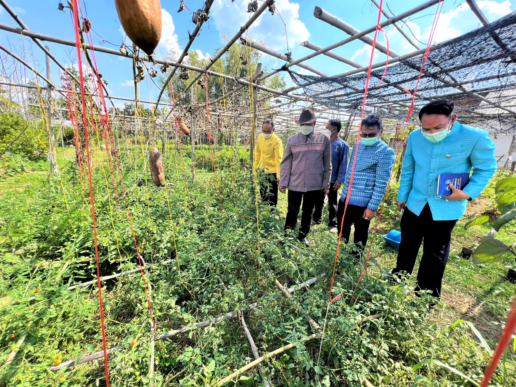 พช.ยโสธร การตรวจ ติดตาม นิเทศงาน พื้นที่  “โคก หนอง นา โมเดล” อ.เมืองยโสธร จ.ยโสธร ของผู้ตรวจราชการกรมการพัฒนาชุมชน