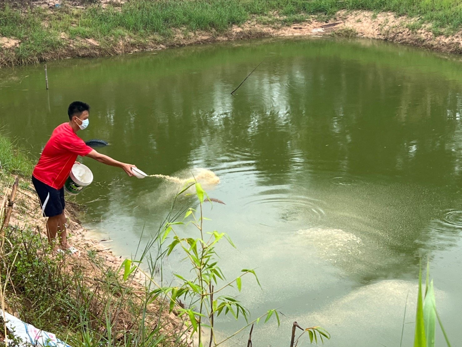 พช.ยโสธร…ติดตามและเยี่ยมให้กำลังใจแก่เยาวชนกลุ่มเสี่ยงและผู้ผ่านการบำบัด…กิจกรรมสนับสนุนกิจกรรมศูนย์เรียนรู้ต้นแบบหนุนเสริมสัมมาชีพชุมชนแก่เยาวชนกลุ่มเสี่ยงและผู้ผ่านการบำบัด ประจำปี 2564