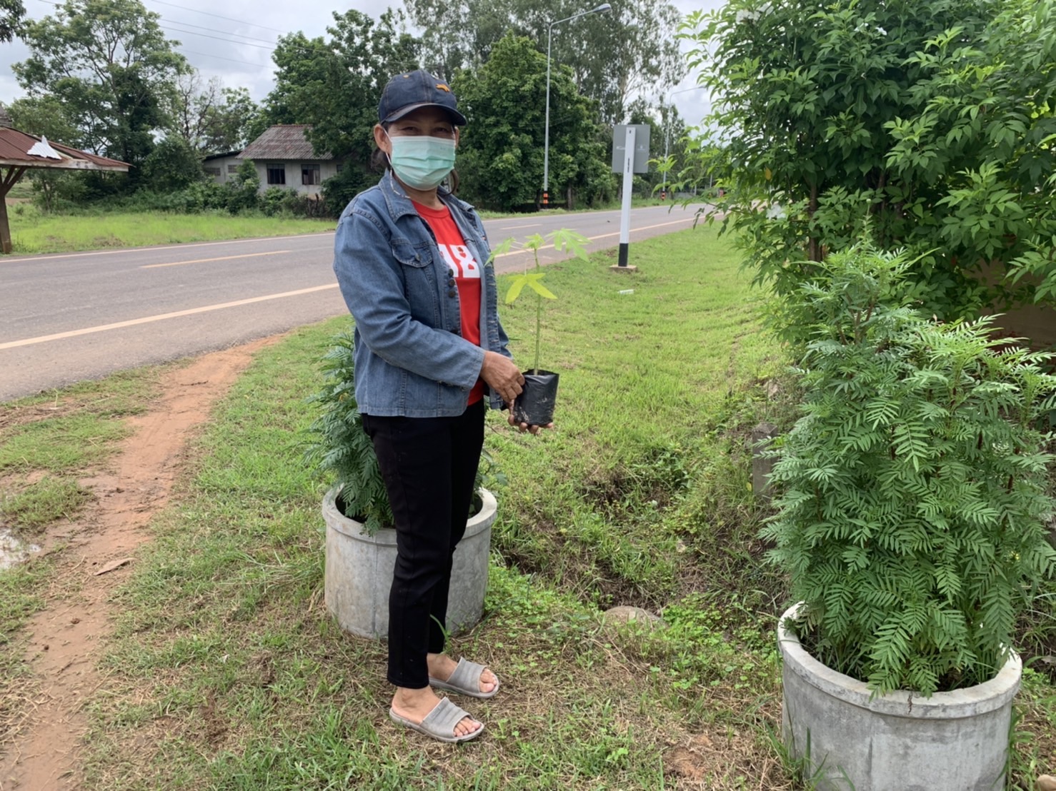 ??หมู่บ้านกองทุนแม่ของแผ่นดินต้นแบบด้านการป้องกันและแก้ไขปัญหายาเสพติด ประจำปี 3565 จังหวัดยโสธร ดำเนินกิจกรรมสร้างถนนกินได้และที่ว่างสร้างอาหาร