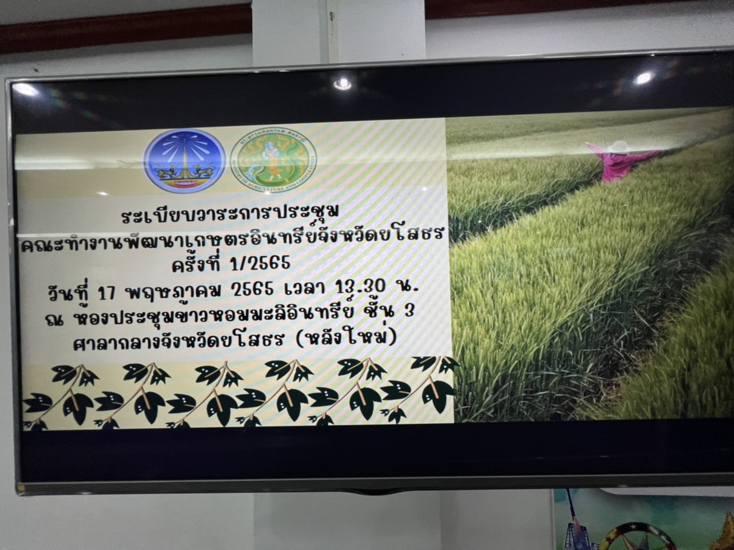 พช.ประชุมคณะทำงานพัฒนาเกษตรอินทรีย์จังหวัดยโสธร ครั้งที่ 1/2565