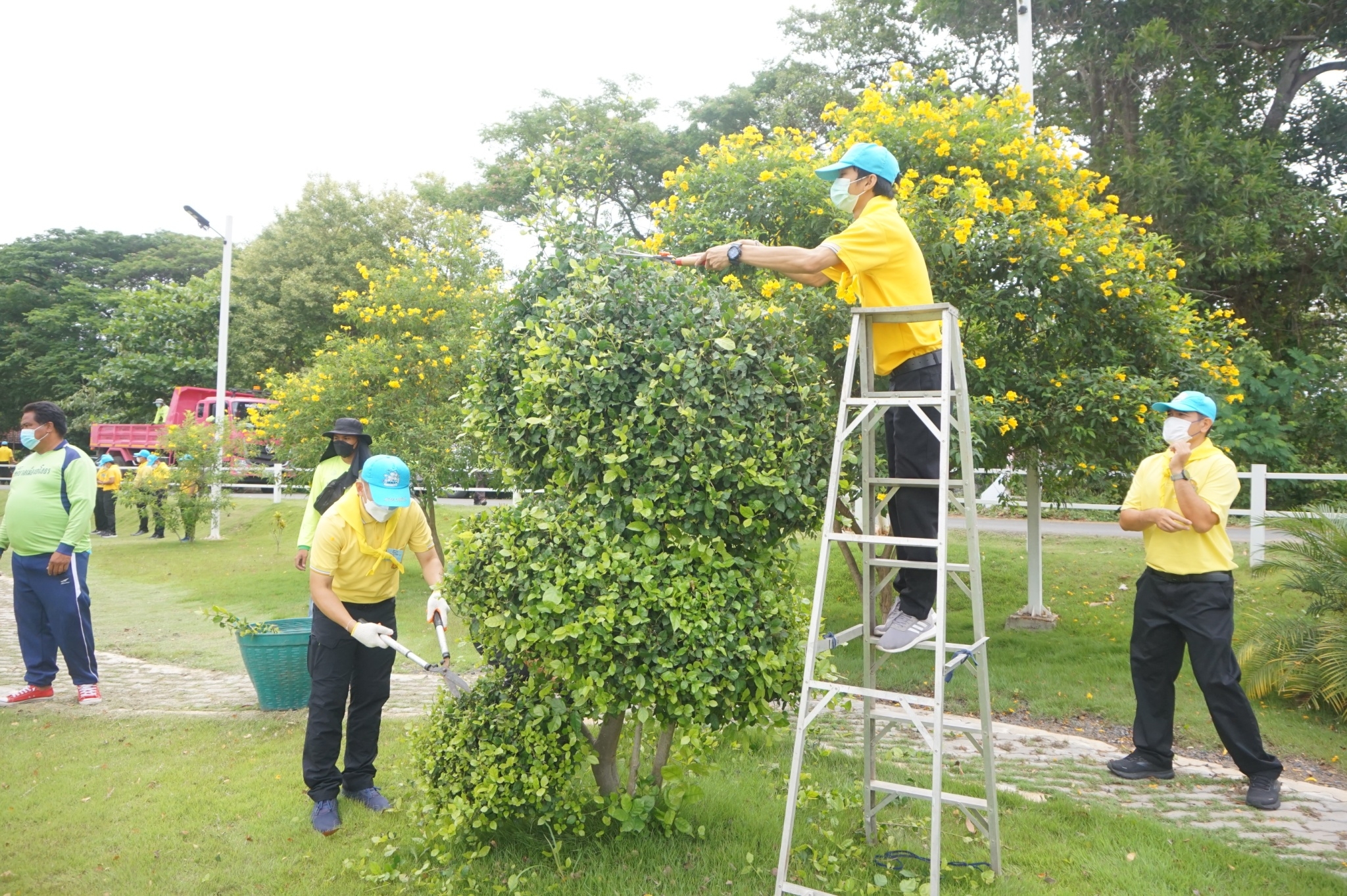 พช.ยโสธส ร่วมจิตอาสาพระราชทานจังหวัดยโสธร ทำความดี จิตอาสาพัฒนาปรับปรุงภูมิทัศน์ เนื่องในวันฉัตรมงคล