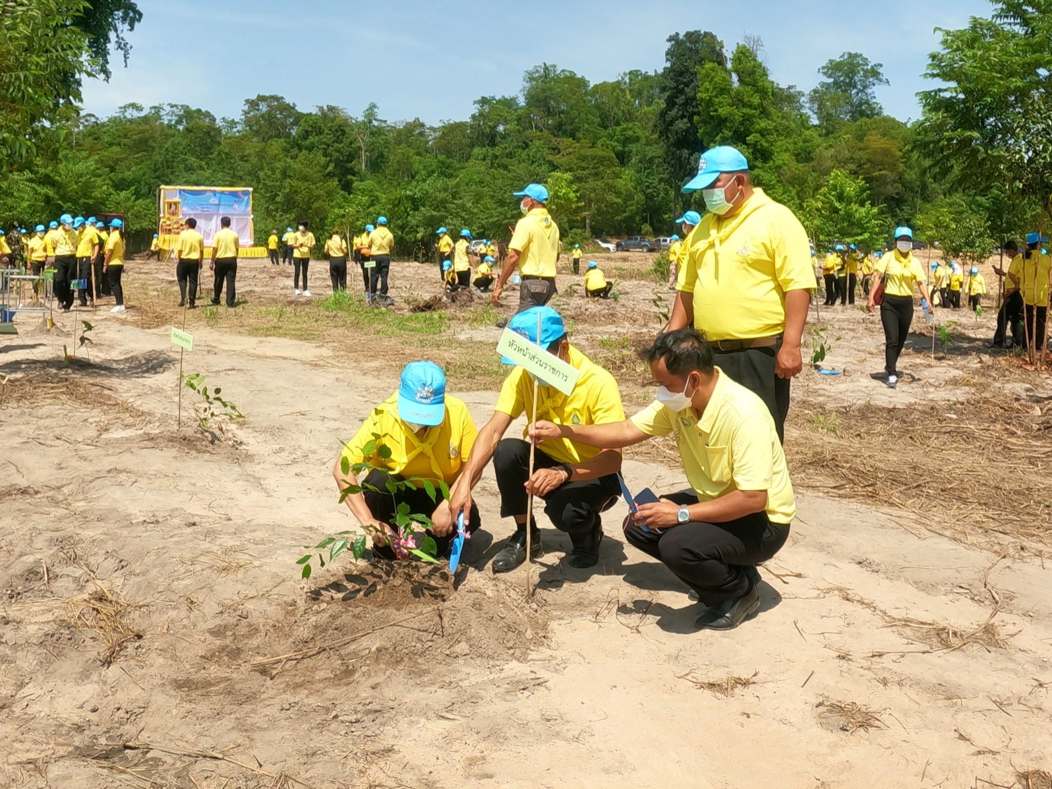 พช.ยโสธร ร่วมจิตอาสาพัฒนากิจกรรมปลูกป่าตามโครงการปลูกป่า ณ.บ้านหนองแคนน้อย ตำบลบุ่งค้า อำเภอเลิงนกทา จังหวัดยโสธร