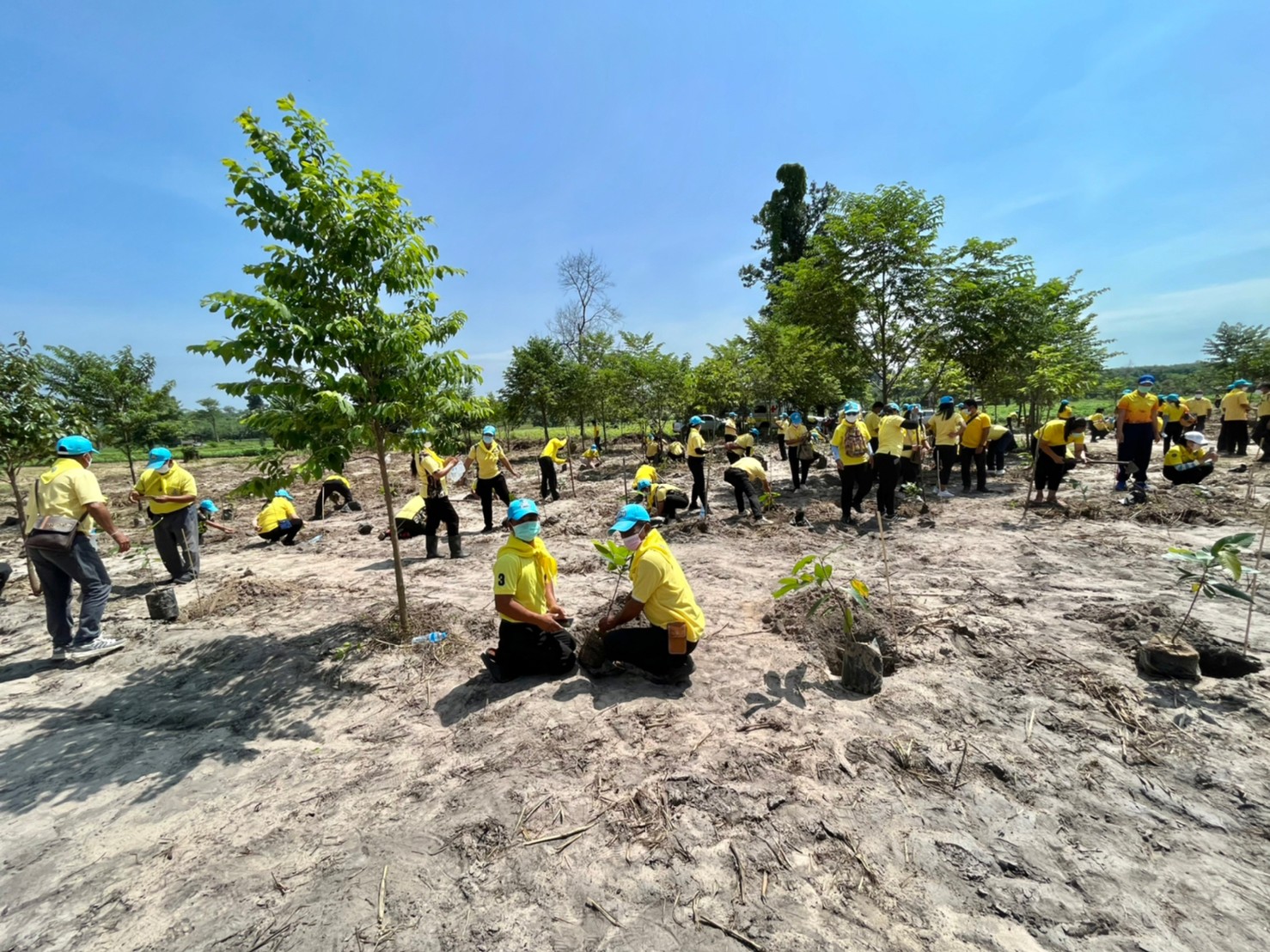 พช.ยโสธร ร่วมจิตอาสาพัฒนากิจกรรมปลูกป่าตามโครงการปลูกป่า ณ.บ้านหนองแคนน้อย ตำบลบุ่งค้า อำเภอเลิงนกทา จังหวัดยโสธร