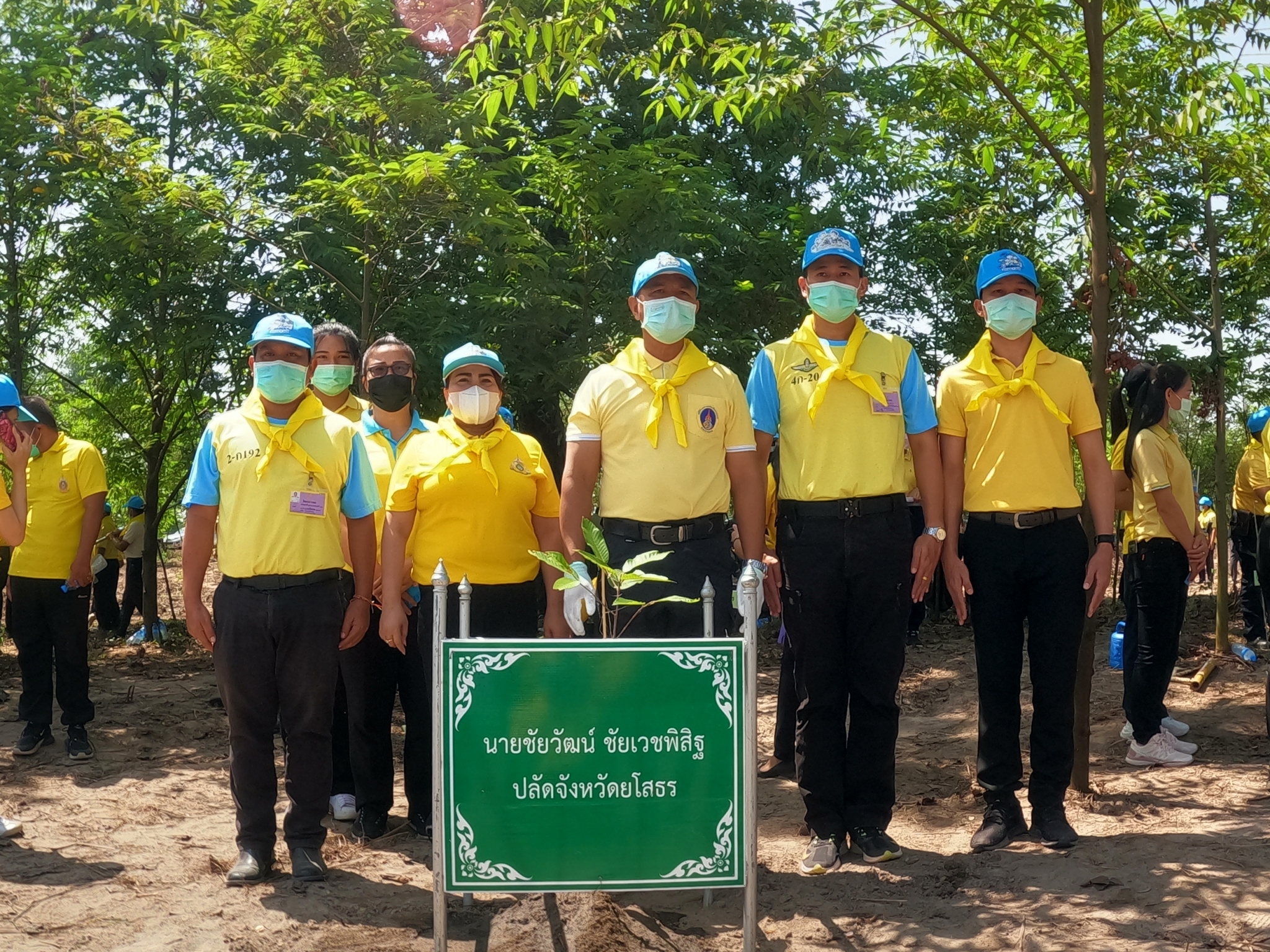 พช.ยโสธร ร่วมจิตอาสาพัฒนากิจกรรมปลูกป่าตามโครงการปลูกป่า ณ.บ้านหนองแคนน้อย ตำบลบุ่งค้า อำเภอเลิงนกทา จังหวัดยโสธร