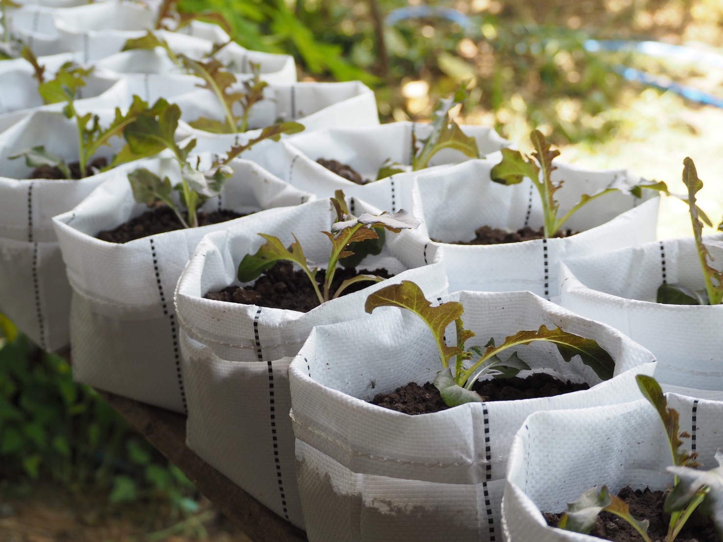 พช.ยโสธร  การคัดสรรกิจกรรมพัฒนาชุมชนดีเด่น ประจำปี 2565 (วันสุดท้าย)