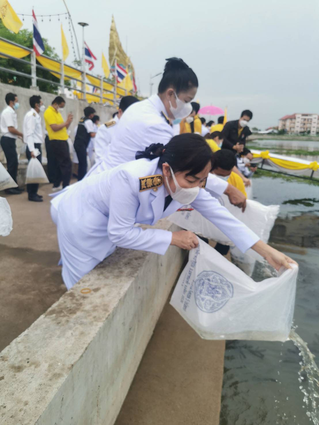 พช.ยโสธร ร่วมปล่อยพันธุ์สัตว์น้ำ 300,000.ตัว เฉลิมพระเกียรติ เนื่องในโอกาสวันเฉลิมพระชนมพรรษา พระบาทสมเด็จพระเจ้าอยู่หัว 28 กรกฎาคม 2565 ที่บริเวณลำทวน แหล่งท่องเที่ยววิมานพญาแถน อ.เมืองยโสธร 