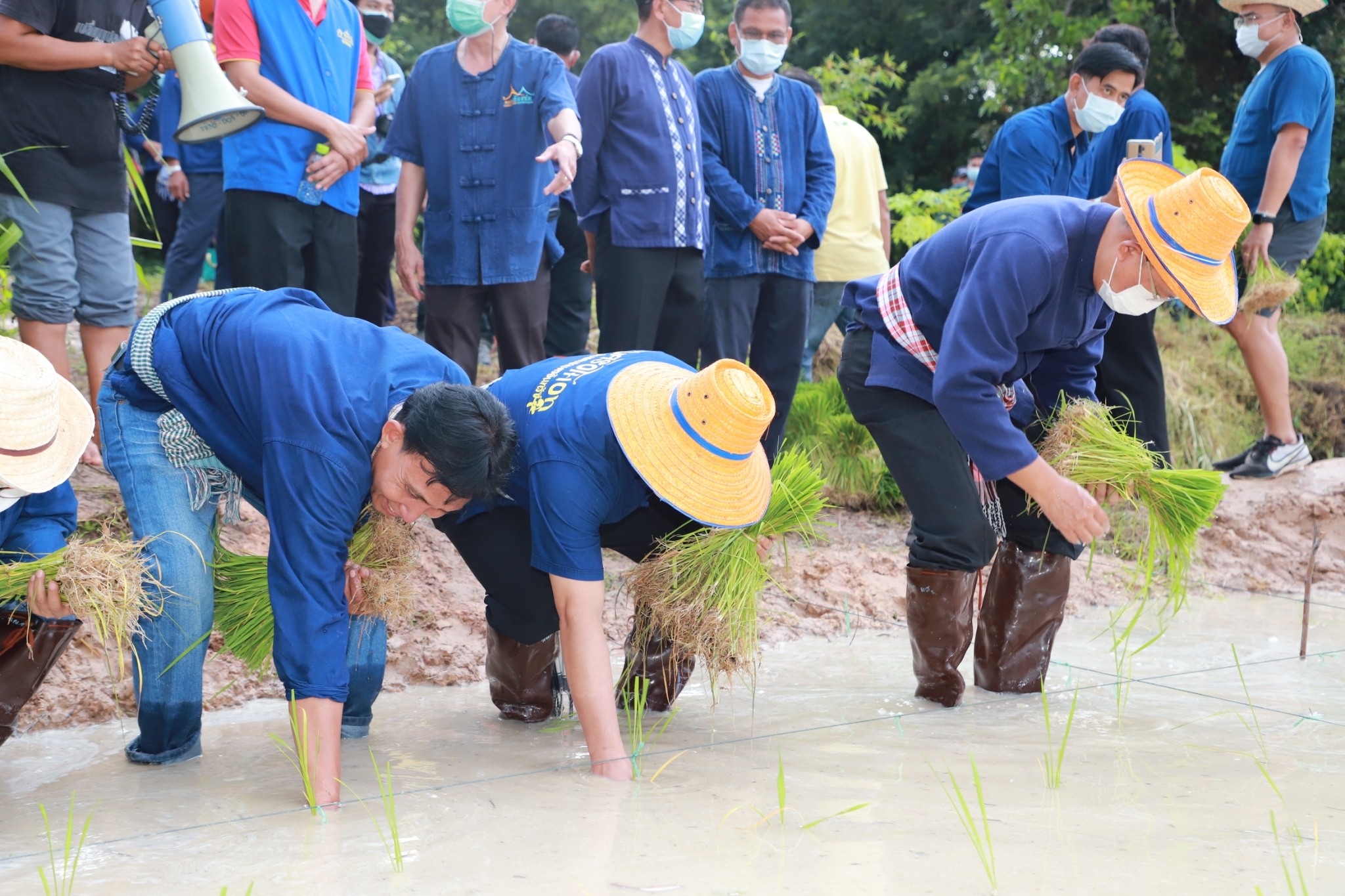 พช.ยโสธร   “ ร่วมลงขัน ชวนกันไปทำนา ” ปี 2565/66