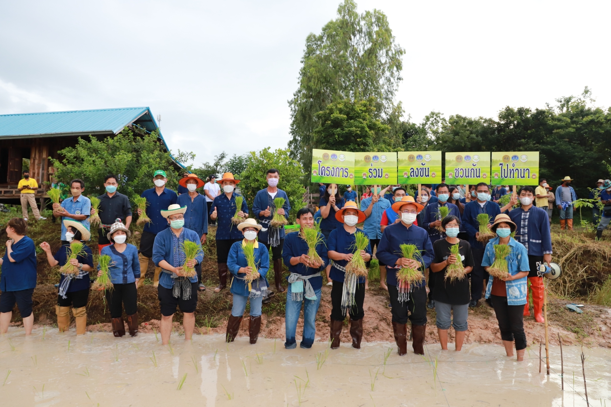 พช.ยโสธร   “ ร่วมลงขัน ชวนกันไปทำนา ” ปี 2565/66