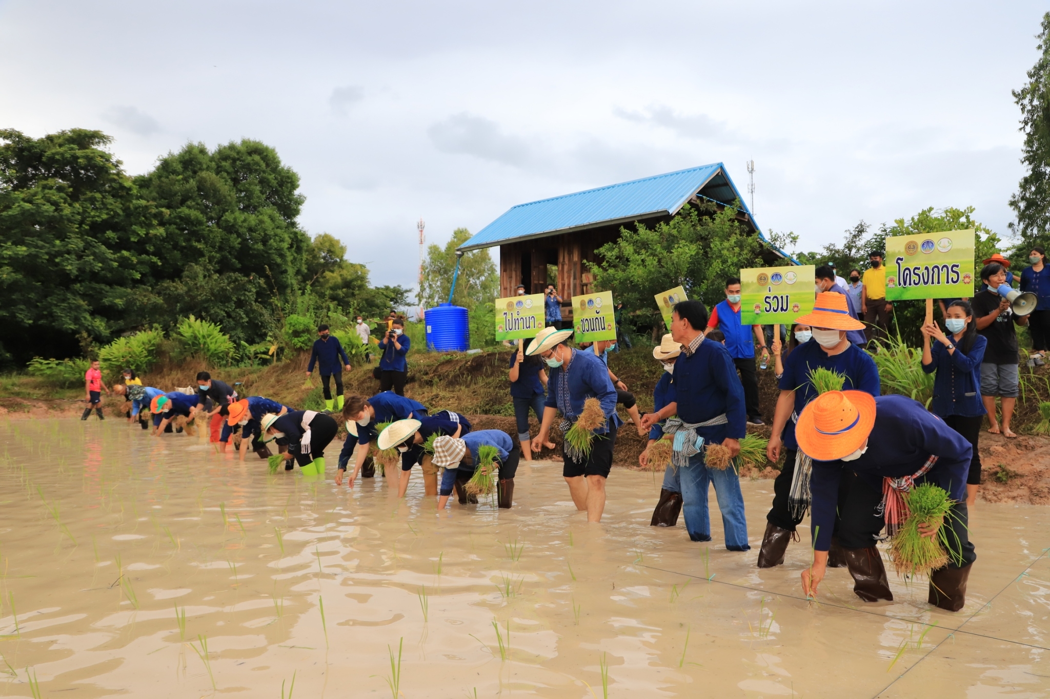 พช.ยโสธร   “ ร่วมลงขัน ชวนกันไปทำนา ” ปี 2565/66